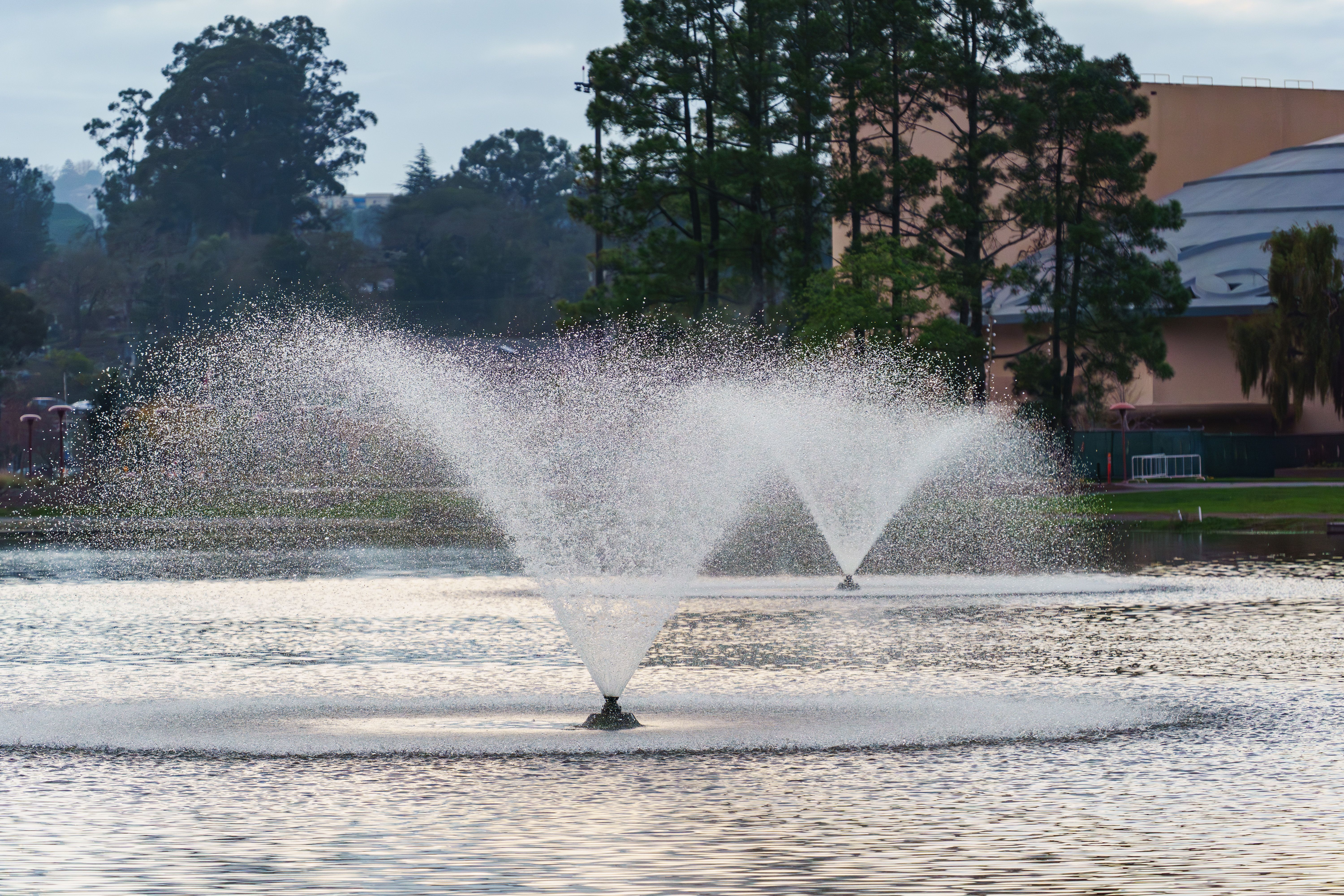 Elegant Water Fountain in Tranquil Park Setting · Free Stock Photo