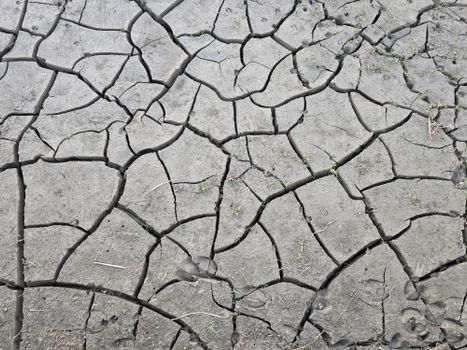 A detailed view of cracked, dry earth illustrating drought and climate change effects.