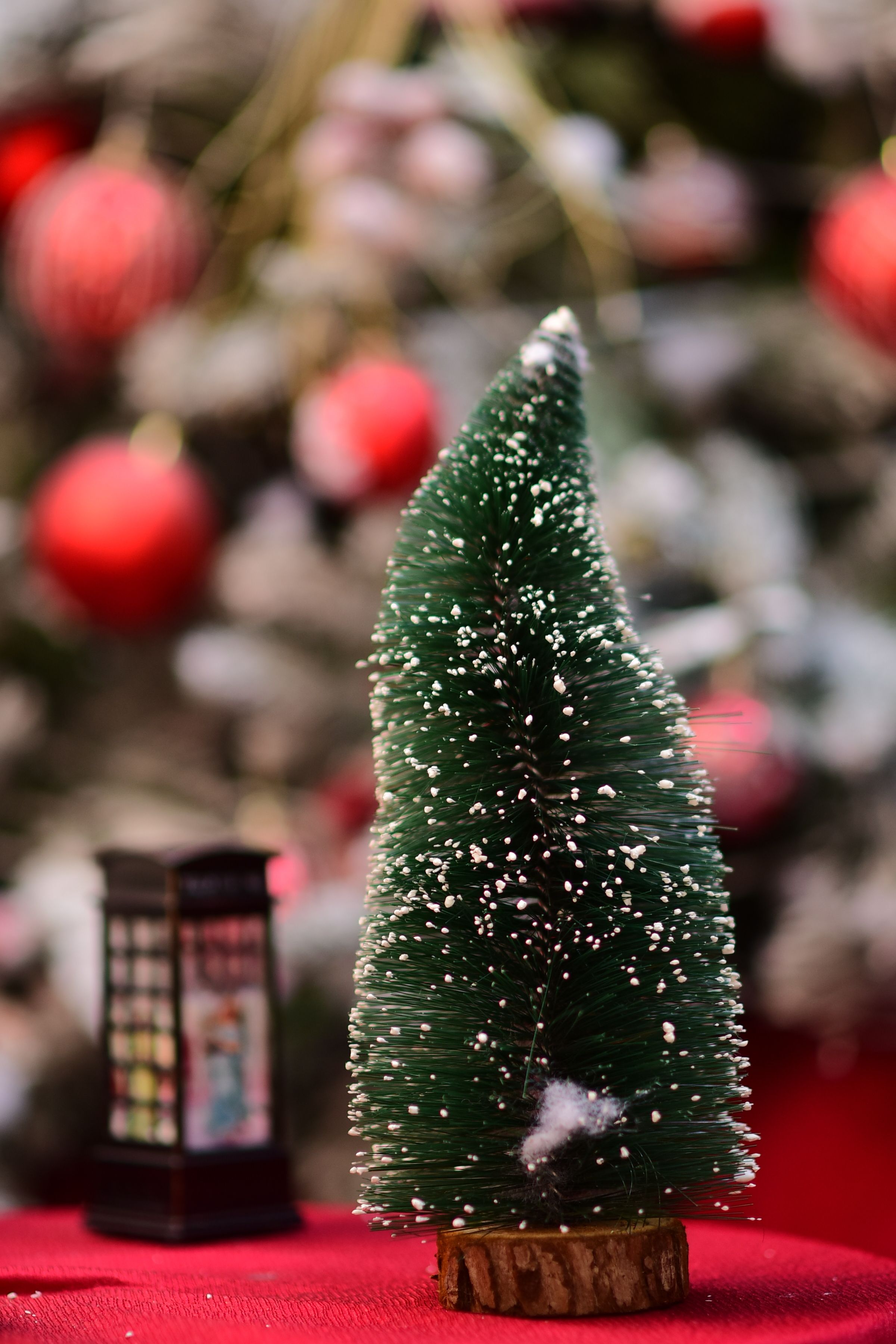 Fotomural Primer plano de un árbol en miniatura con adornos rojos, perfecto para decoraciones navideñas.