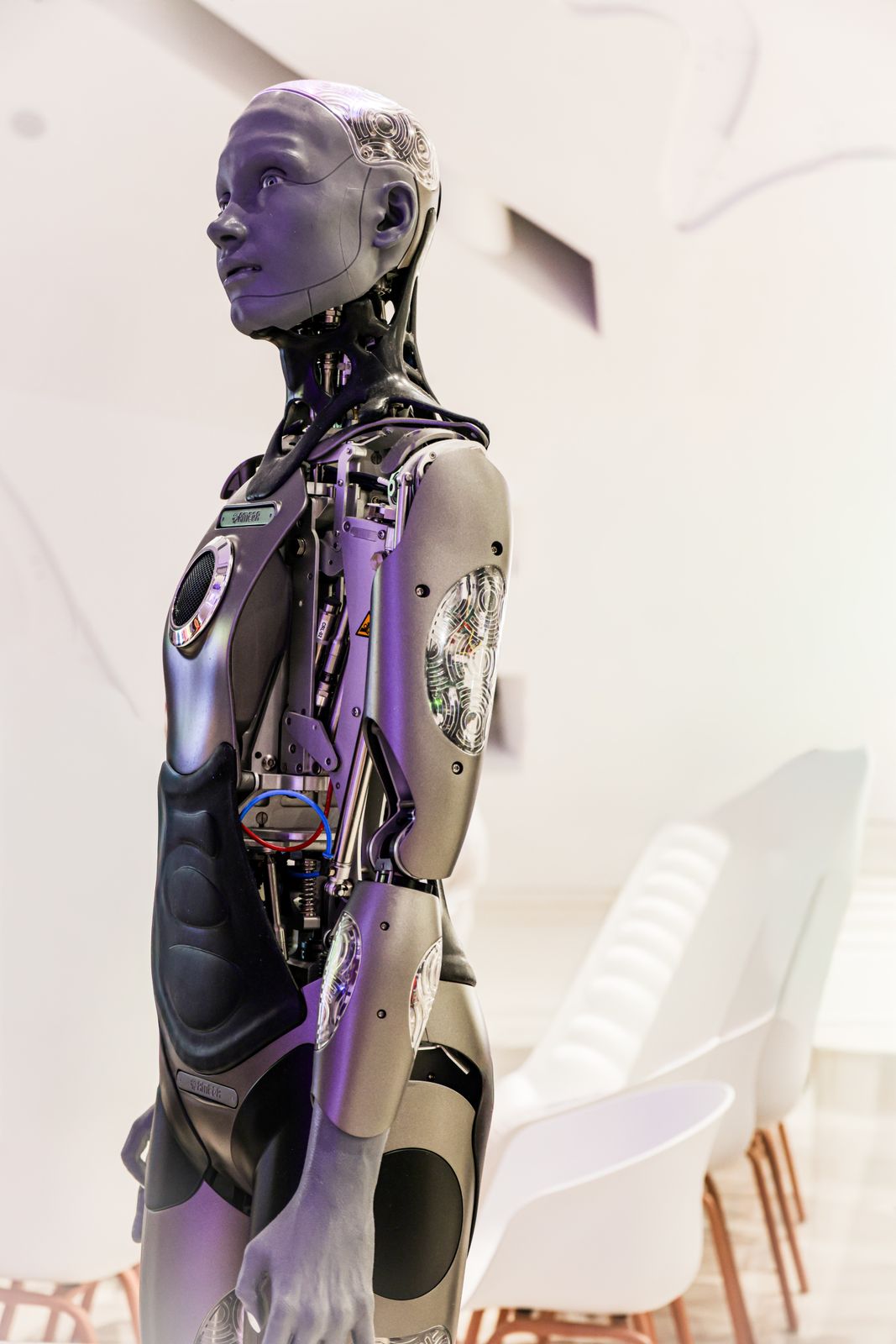 NeurIPS China Ban: Who Boycotted Whom?