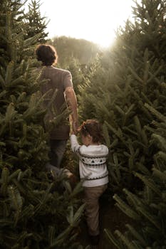 Father and child walking through a sunlit Christmas tree farm, symbolizing family bonding.