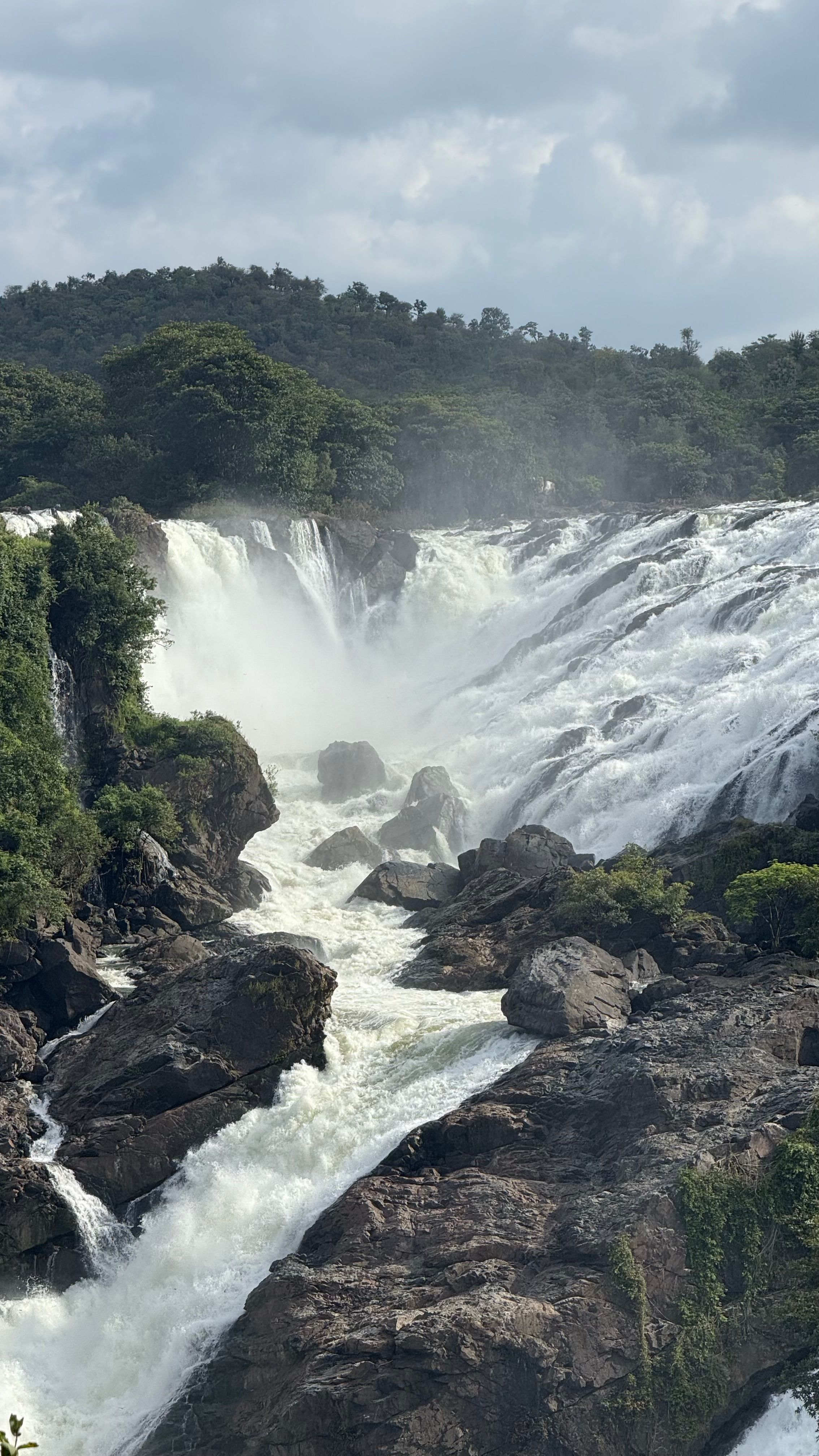 Breathtaking view of Shivanasamudra waterfalls cascading amidst lush greenery in Karnataka, India.