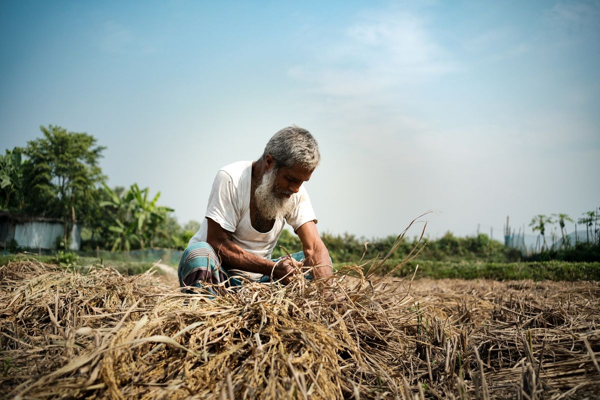 Agricultor trabalhando em area rural.
