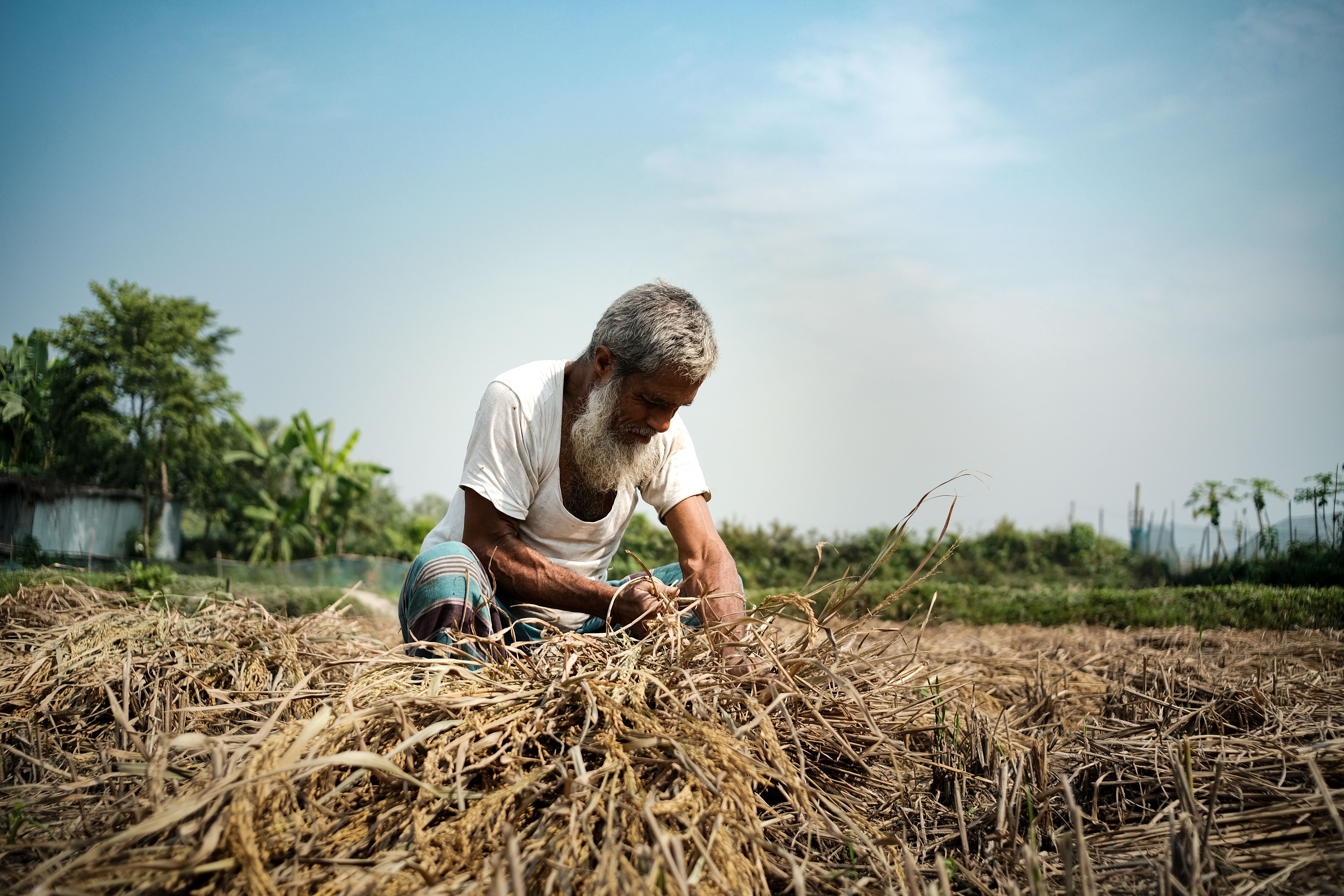Elderly Farmer Working in a Field on a Sunny Day · Free Stock Photo