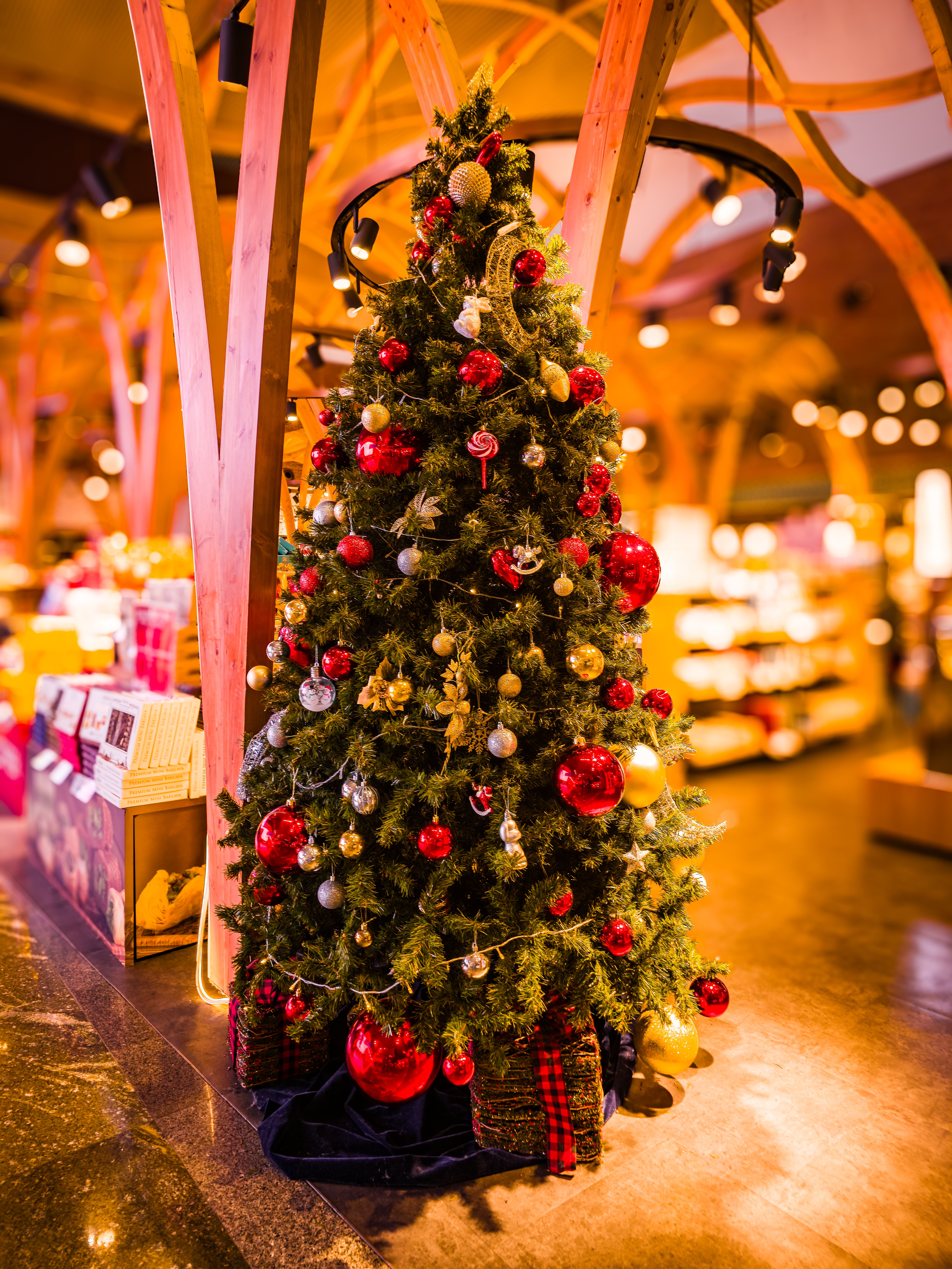 Beautiful Christmas Tree in Shopping Mall · Free Stock Photo