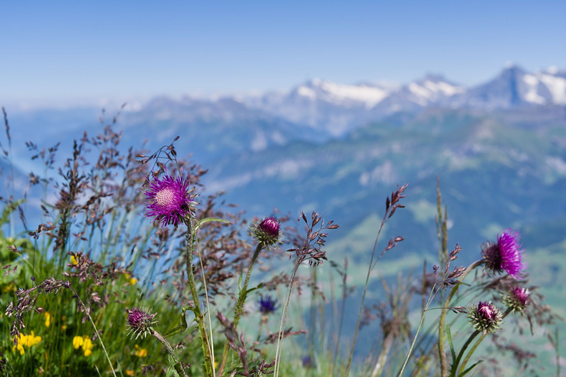 Sommerlager