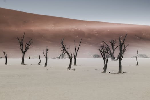 Sossusvlei, Namibia photo 12