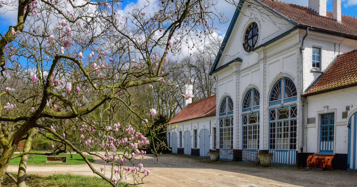 Elegant Historic Building in Spring, Flanders · Free Stock Photo