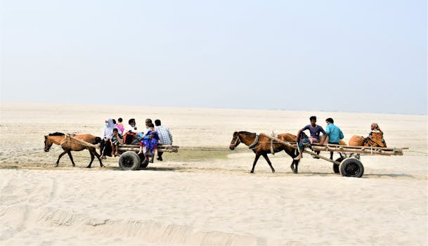 Un carro trainato da cavalli trasporta persone attraverso un paesaggio sabbioso nella divisione di Rangpur, Bangladesh.