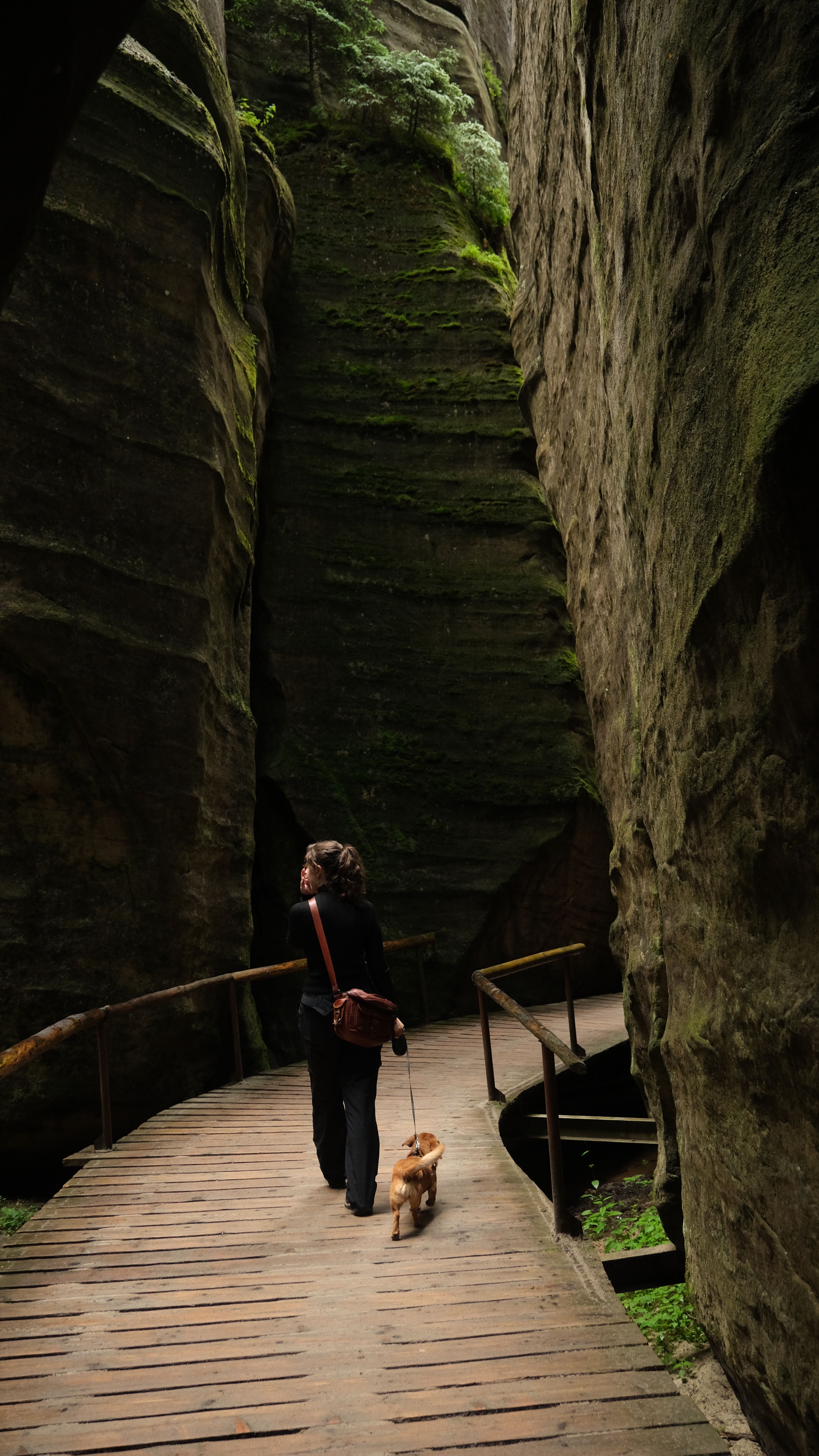 A Cave With 2 Paths Photos, Download The BEST Free A Cave With 2 Paths ...