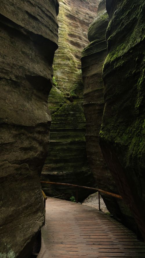 Free Explore the serene, moss-covered canyon path with towering rock walls. Stock Photo