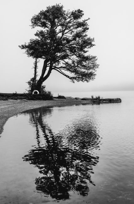 Enjoy a Quiet Lake Stop things to do in greer sc
