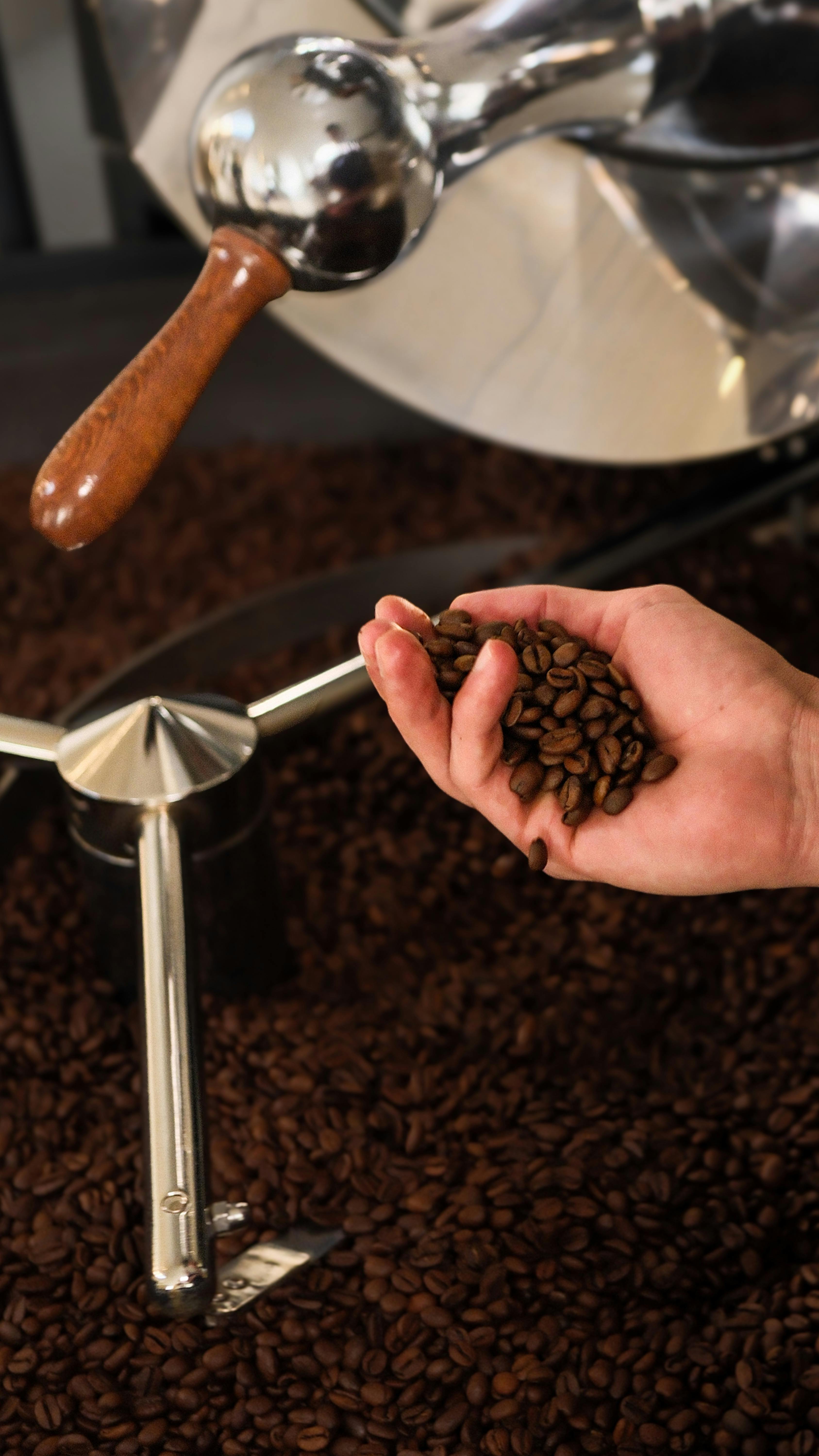 Discover the Rich World of Fresh Roasted Coffee – Elevate Your Coffee Experience