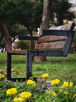 A serene park scene with a rain-soaked bench surrounded by vibrant marigolds, symbolizing autumn tranquility.