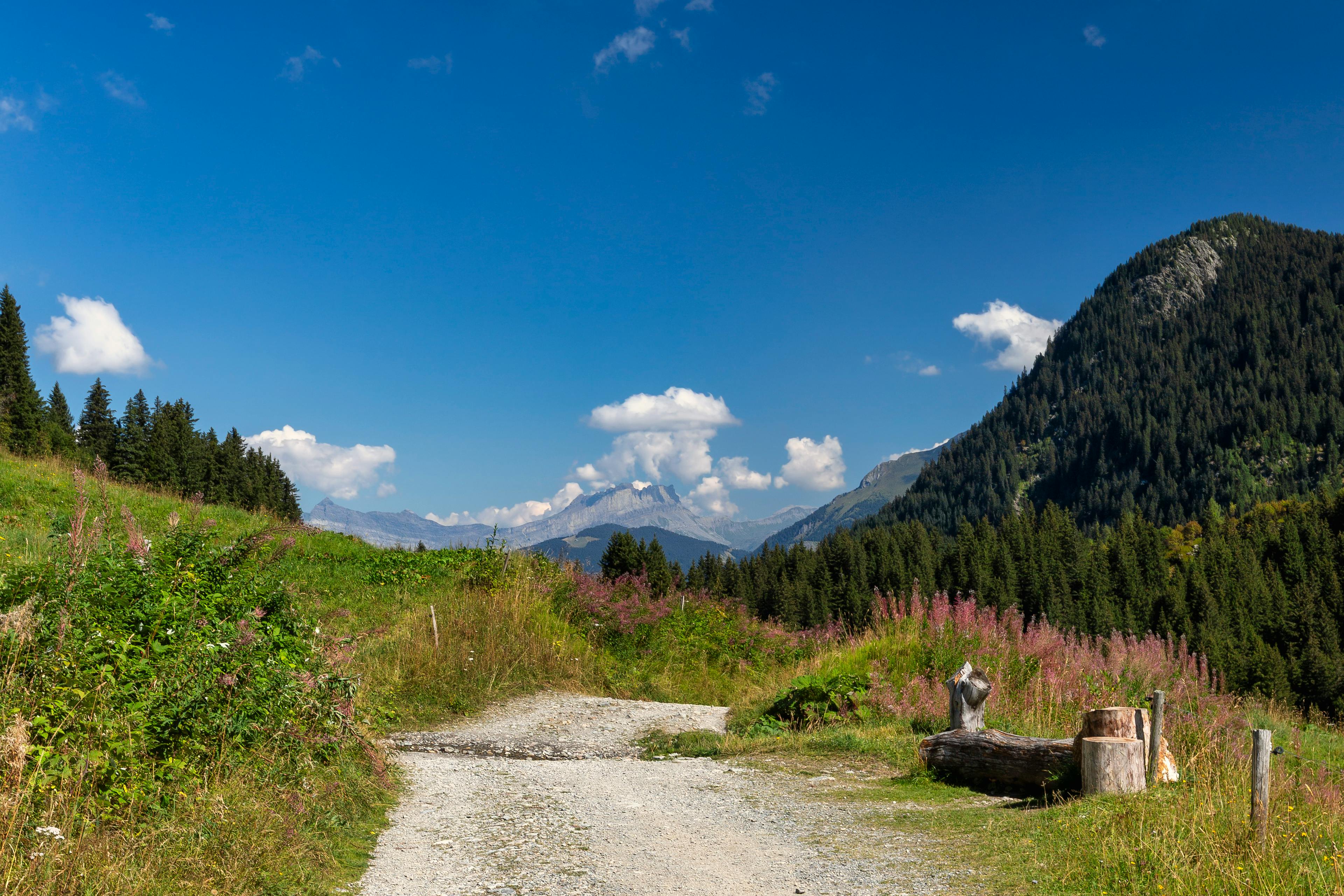 hiking trail, mountain landscape, nature reserve