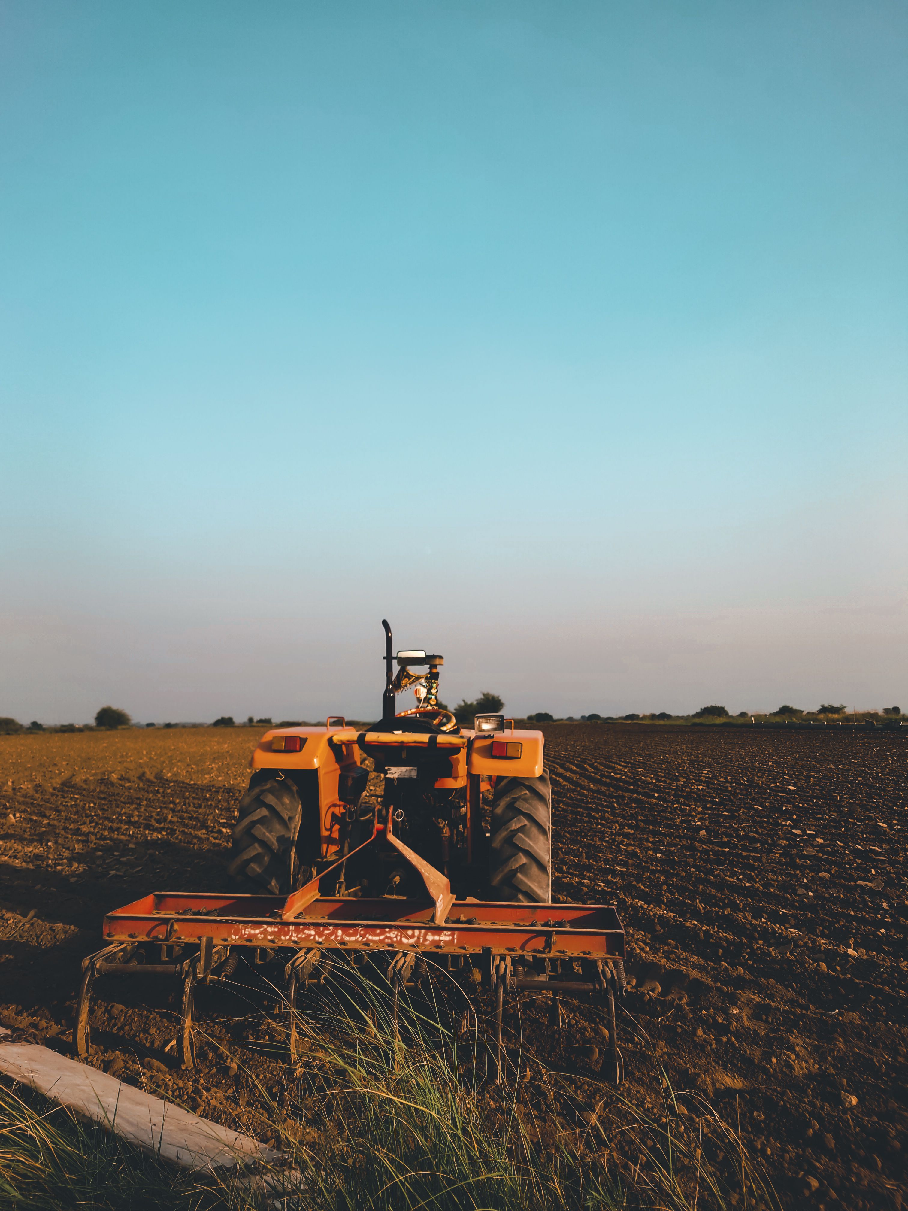 Farmer kneeling in a dry, failed crop field examining withered plants
