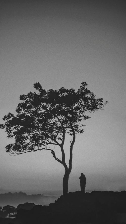 Free A dramatic silhouette of a person and tree against a twilight sky in Nusa Tenggara Barat, Indonesia. Stock Photo