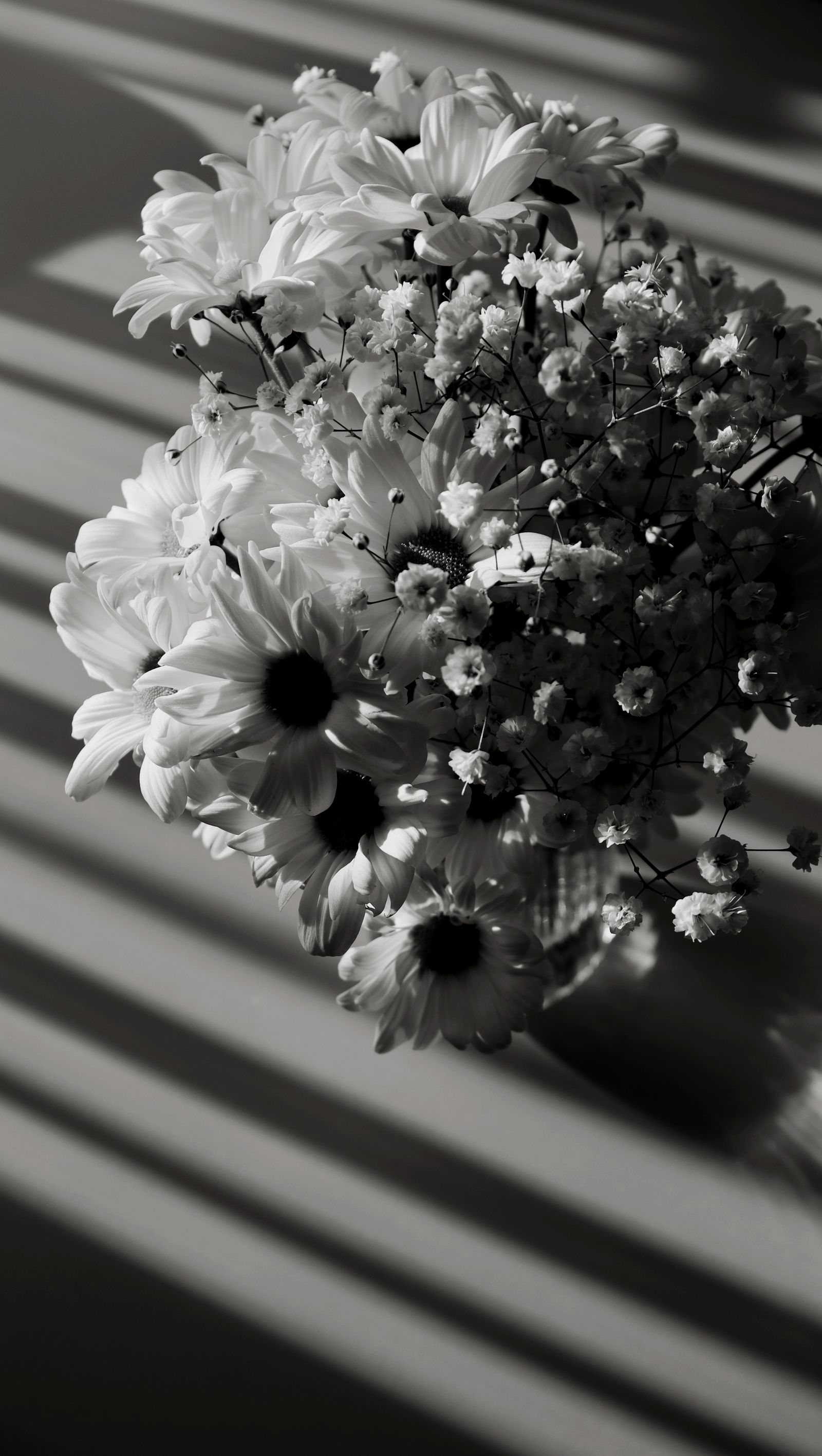 Flowers Black And White Images Photos, Download The BEST Free Flowers ...