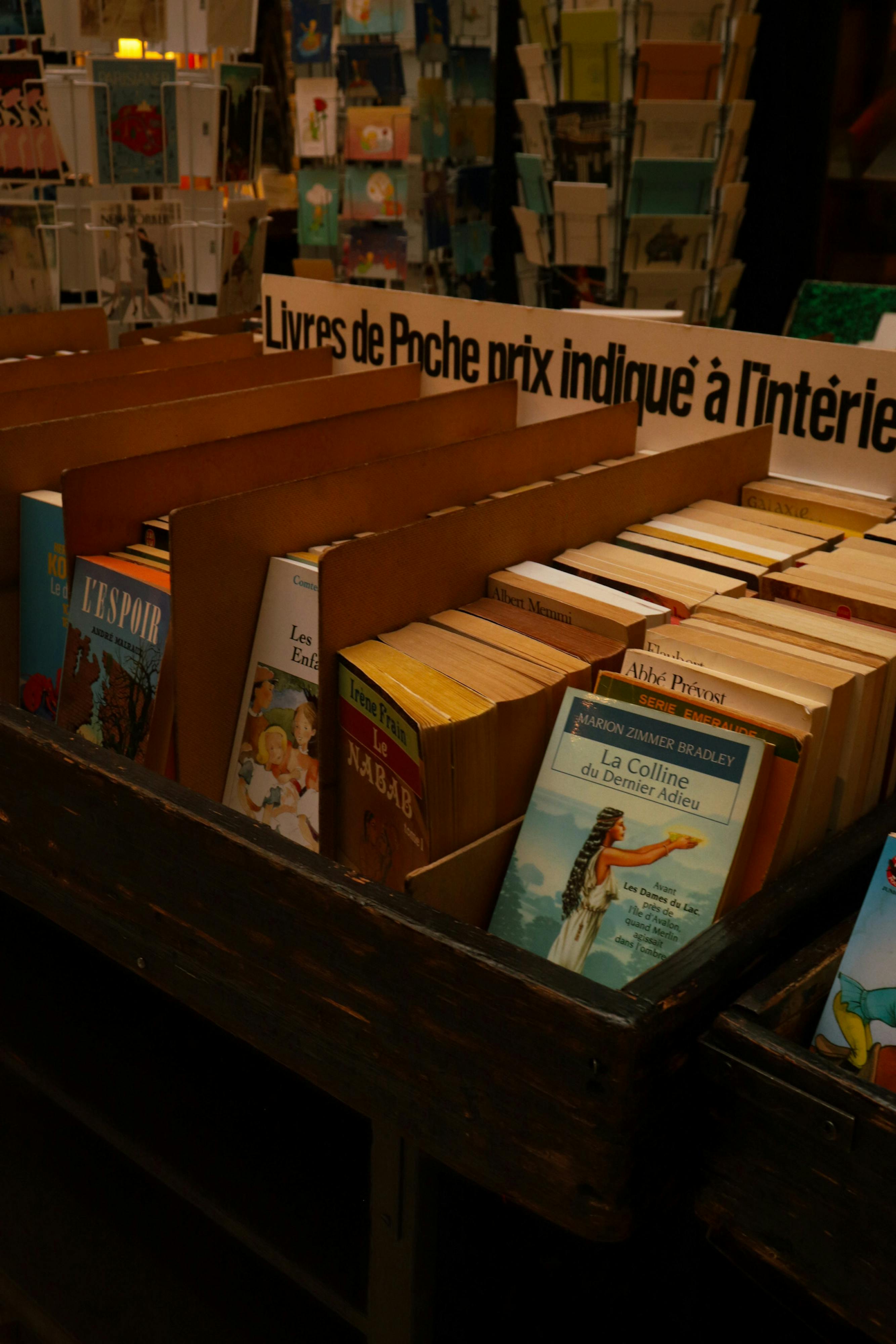 Guía de Librerías Originales en San Salvador