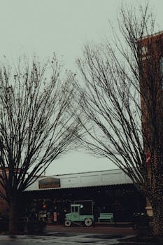 Cinematic view of Canton, Georgia's historic downtown during a rainy day with wet cobblestones.