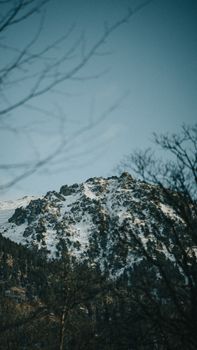 Breathtaking view of a snow-capped mountain peak surrounded by bare trees in winter.