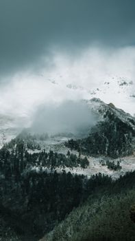 Scenic view of a snowy mountain with pine forests and dramatic clouds overhead.