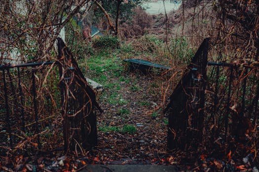An overgrown and eerie pathway with a rusty gate leading to dense foliage.