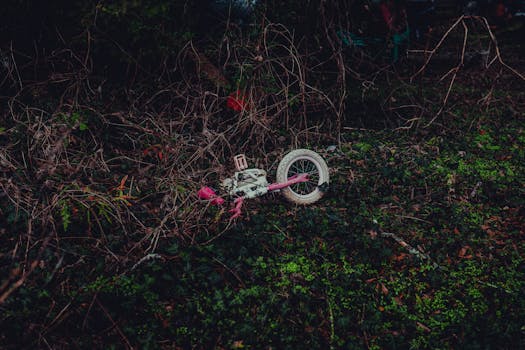 A child's bicycle lies abandoned in a dense, overgrown area, creating a moody and atmospheric scene.