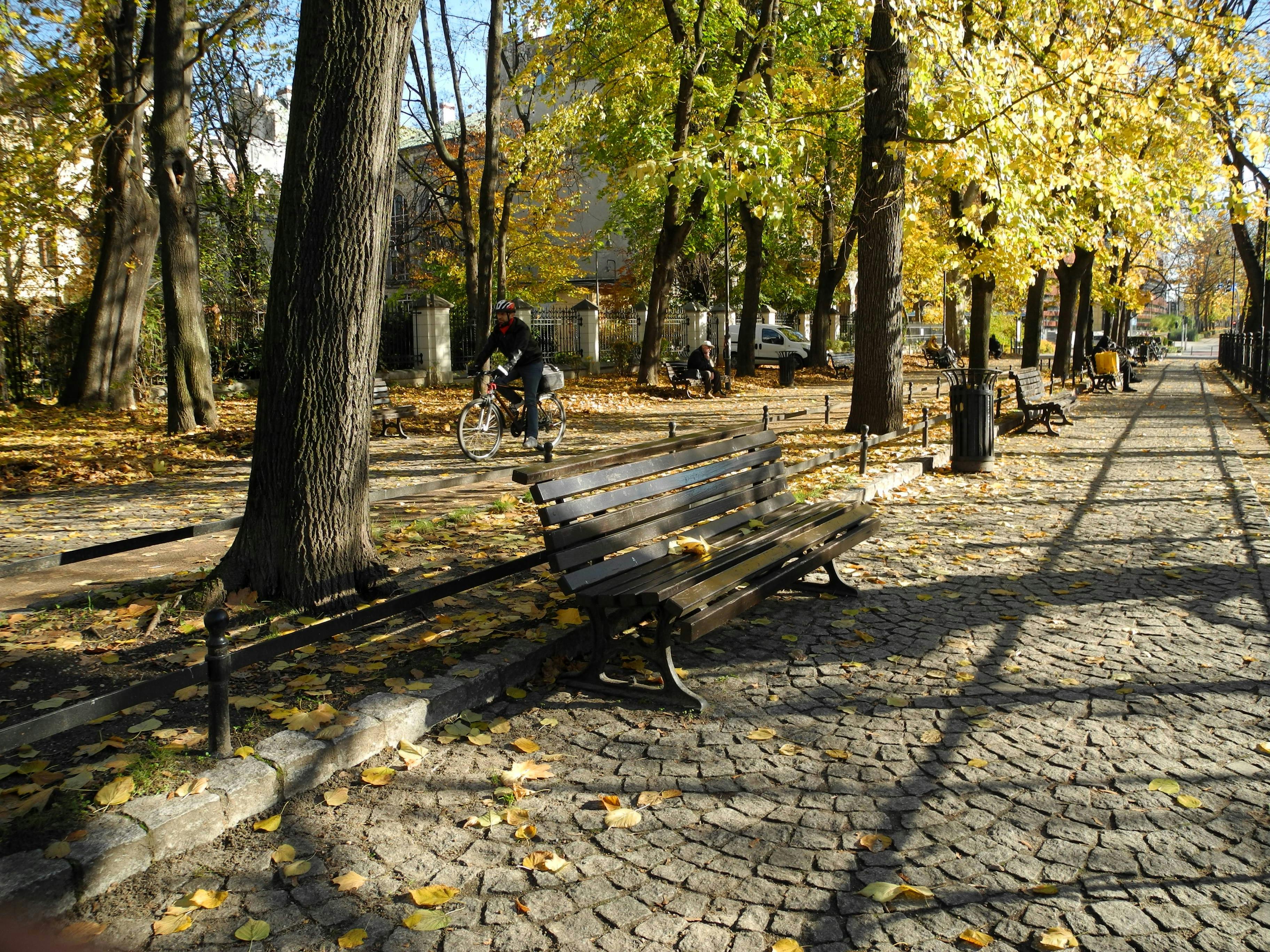 A peaceful autumn day in a Poznań park with fallen leaves and benches.