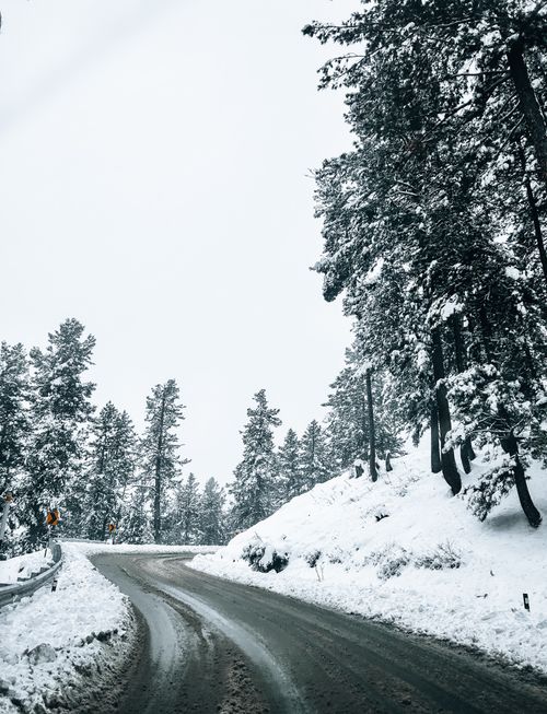 Free Serene winter landscape showcasing a winding road amidst fresh snowfall in Gulmarg. Stock Photo
