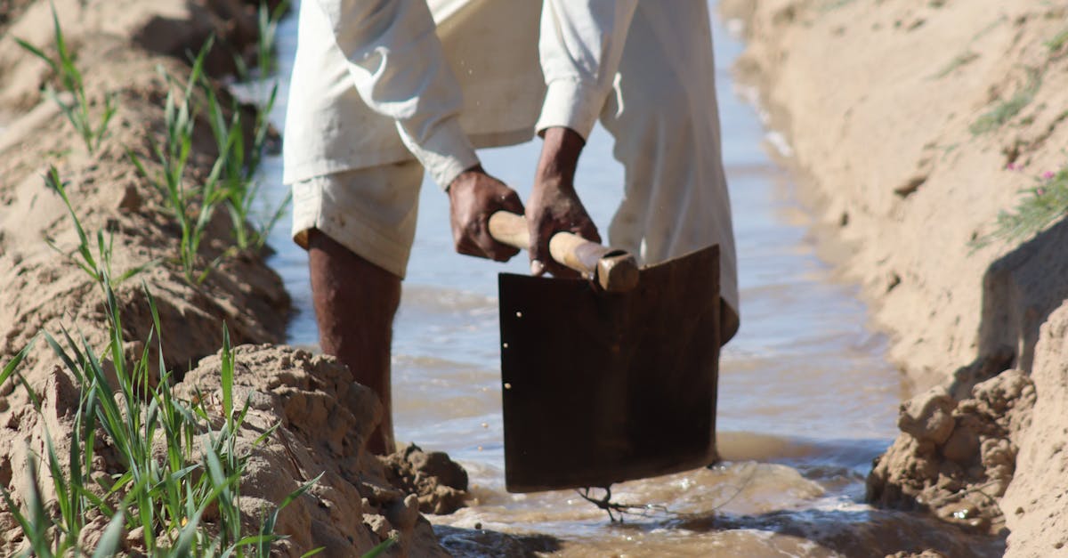 Paraguay: cómo evalúan inversores tierra, agua y logística en agronegocios Paraguay: cómo evalúan inversores tierra, agua y logística en agronegocios
