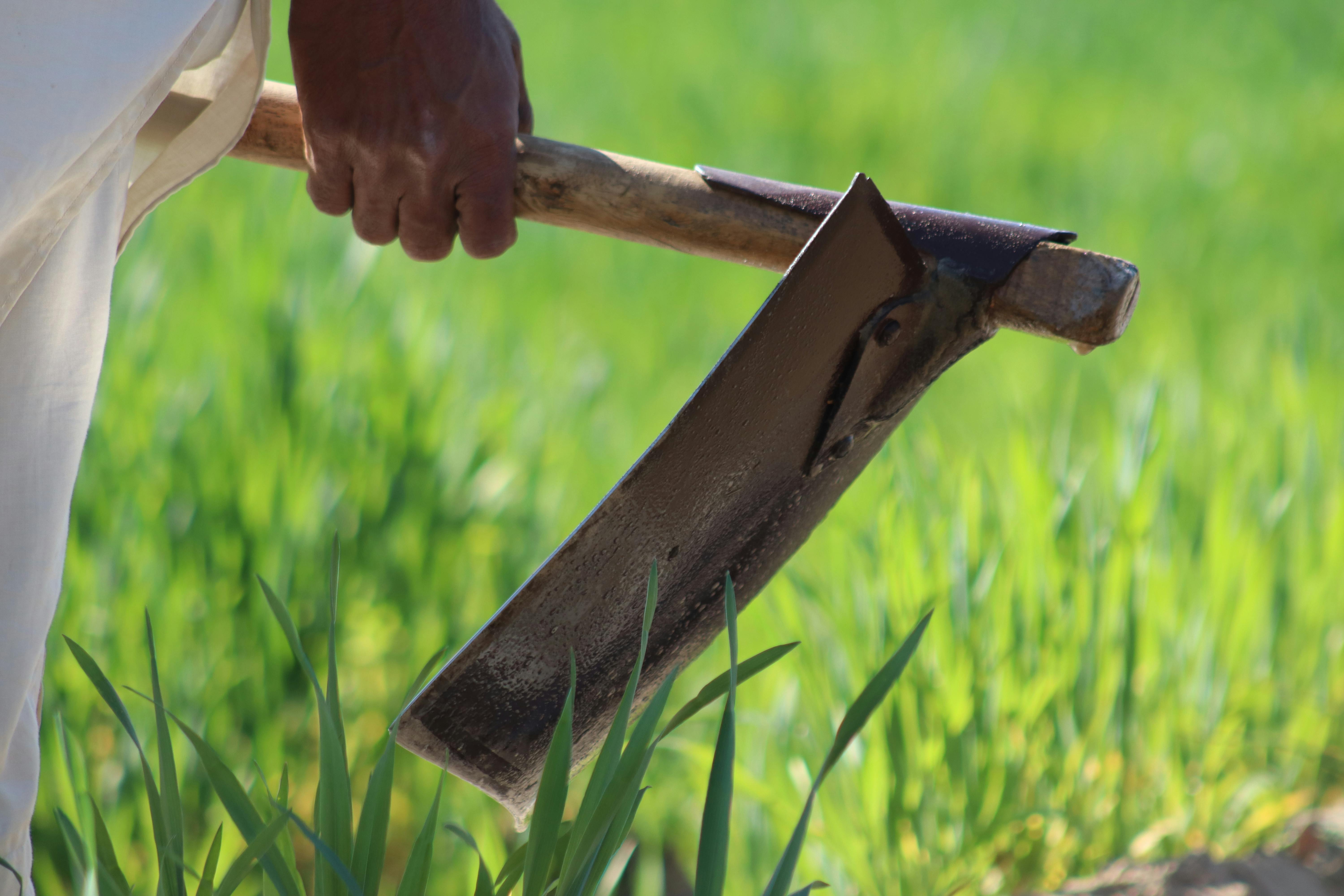 Mastering Mindfulness and Breathing Techniques for Better Well-being