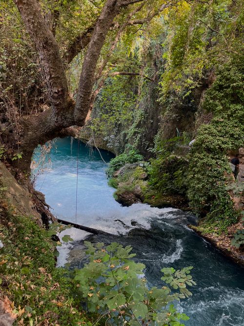 Free Explore the tranquil beauty of a scenic waterfall surrounded by lush greenery in Antalya, Turkey. Stock Photo
