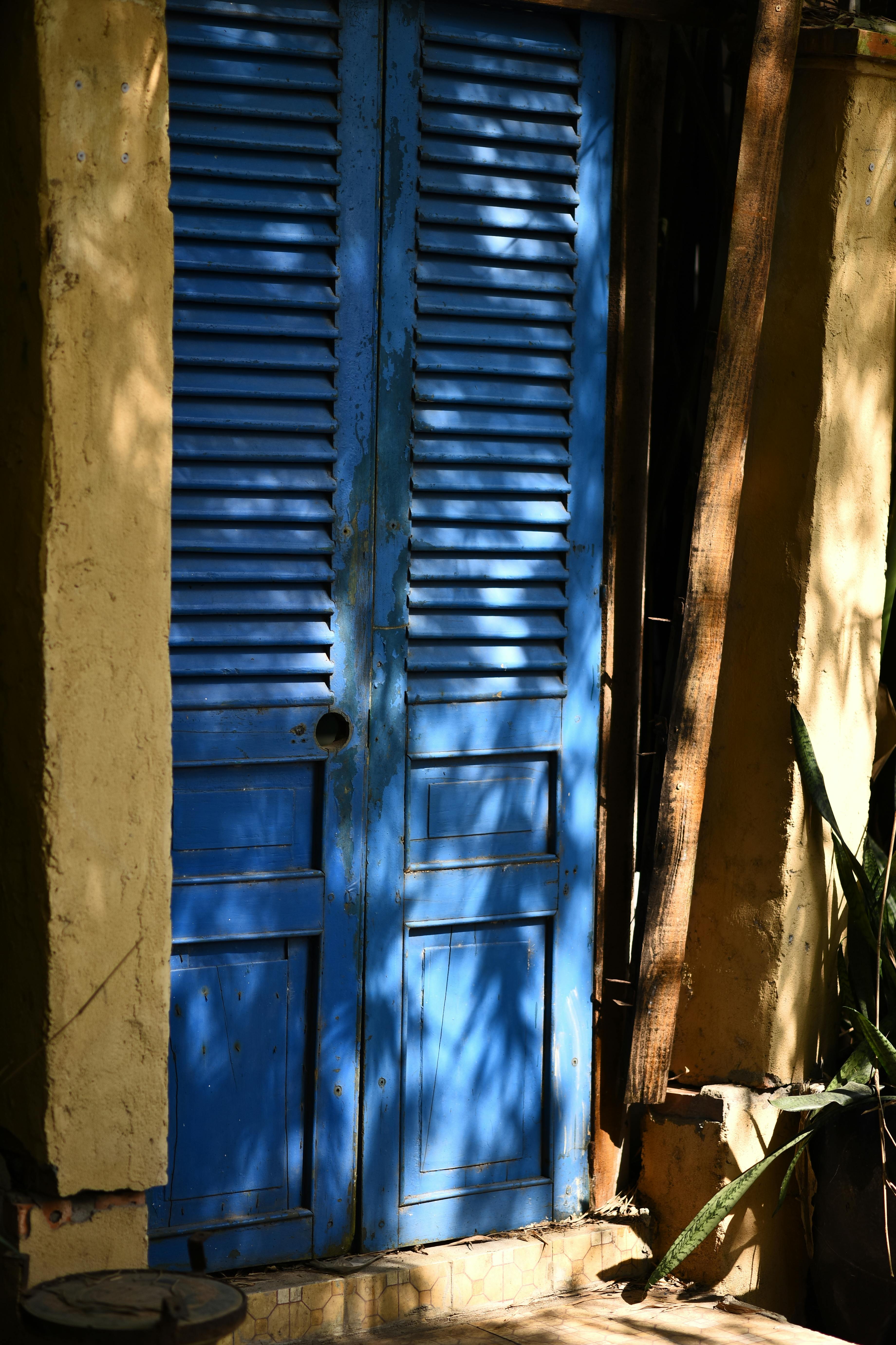 A rustic blue shuttered door surrounded by shadows and natural elements.