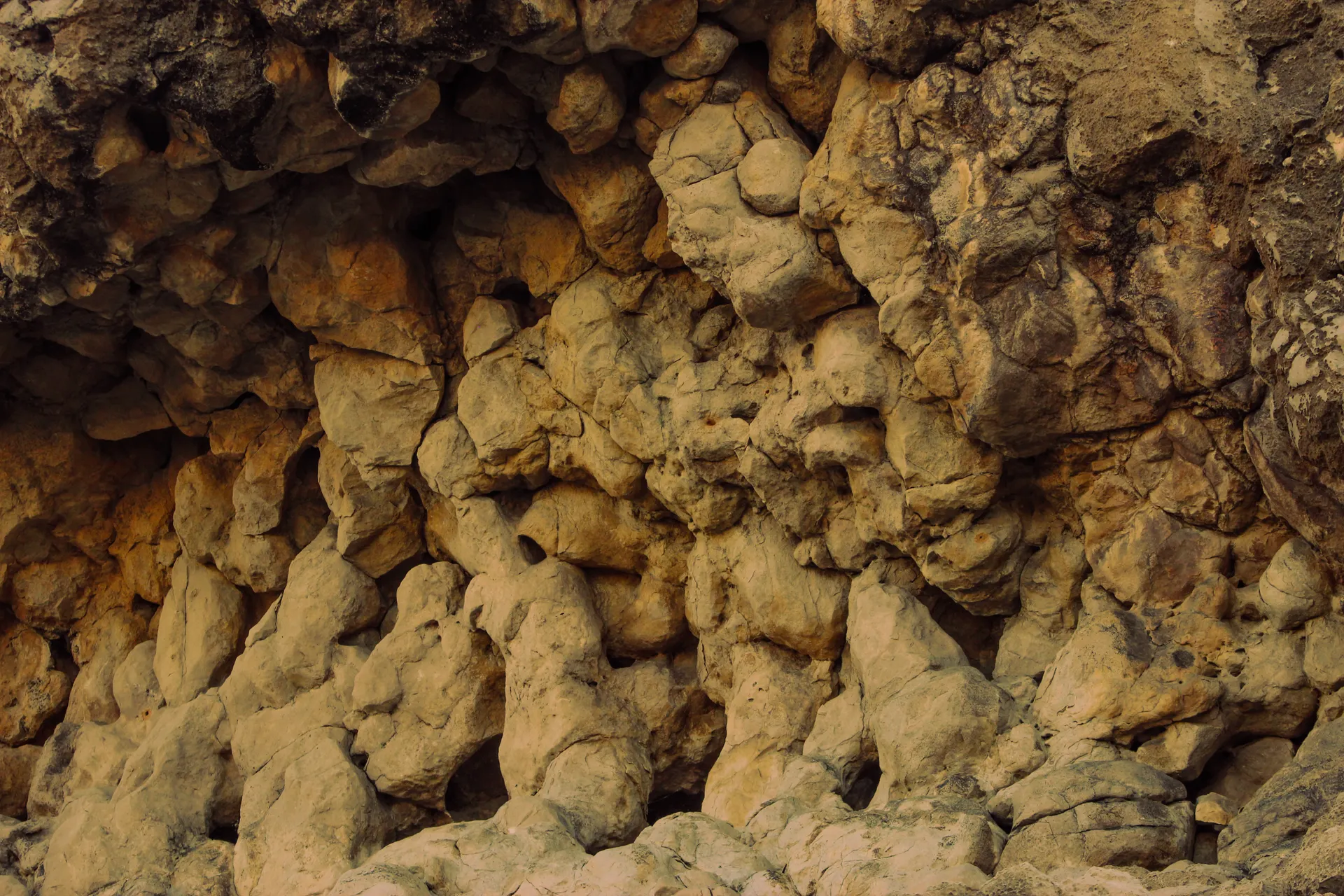 Close-up of a unique rock formation showcasing textured geological layers in Kentucky. Close-up of a unique rock formation showcasing textured geological layers in Kentucky.