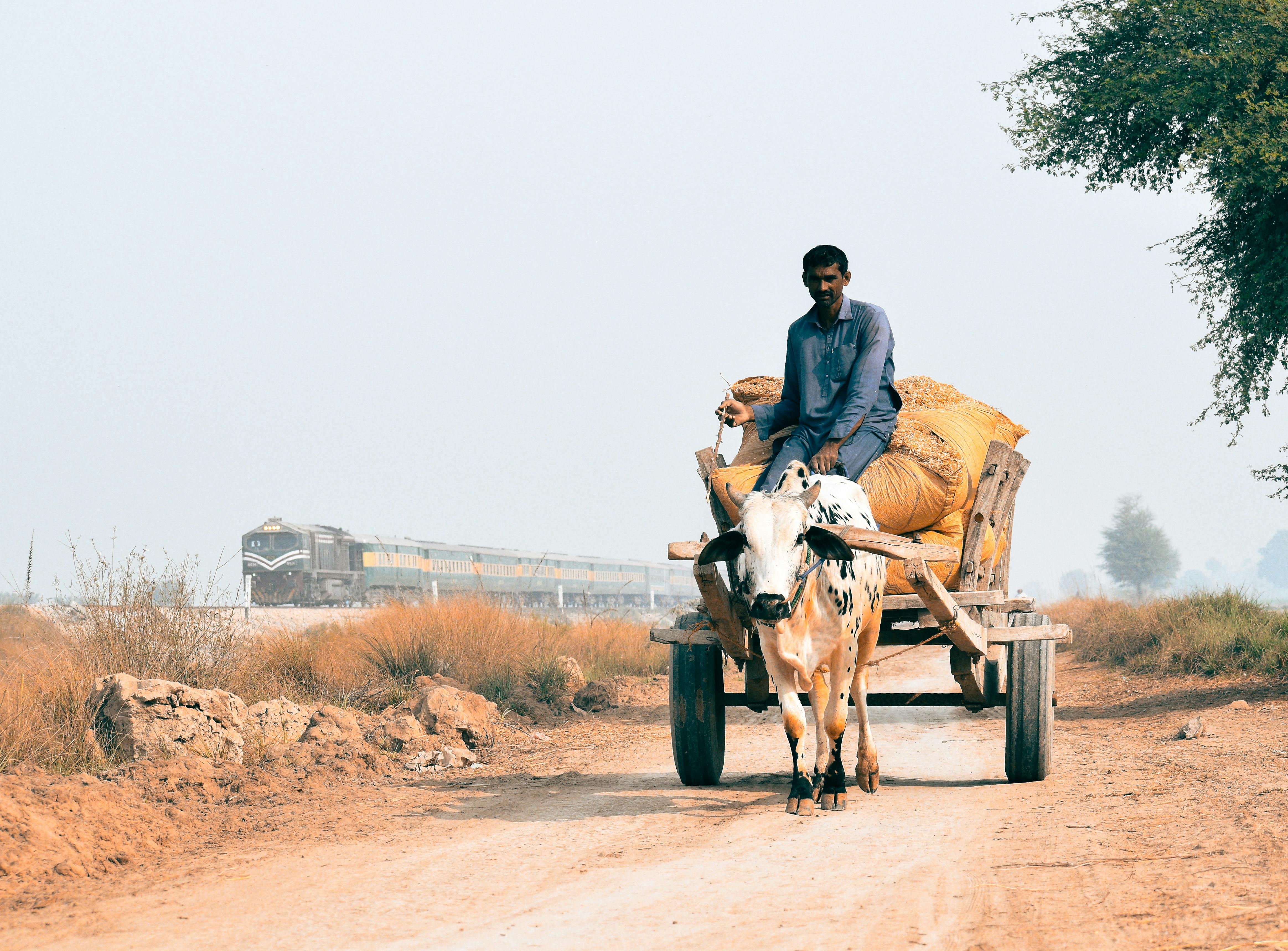 Image : The Invisible Drain: Why Your Tech's Engine Room Needs More Than Just Code