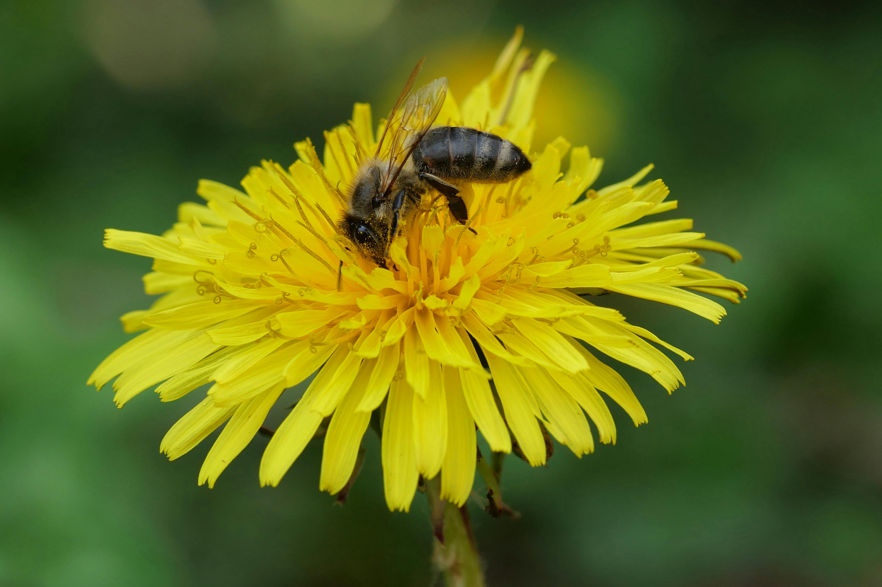 Ark Valley Civics Bee Competition to Send Three Local Students to State — Photo by Rino Adamo on Pexels