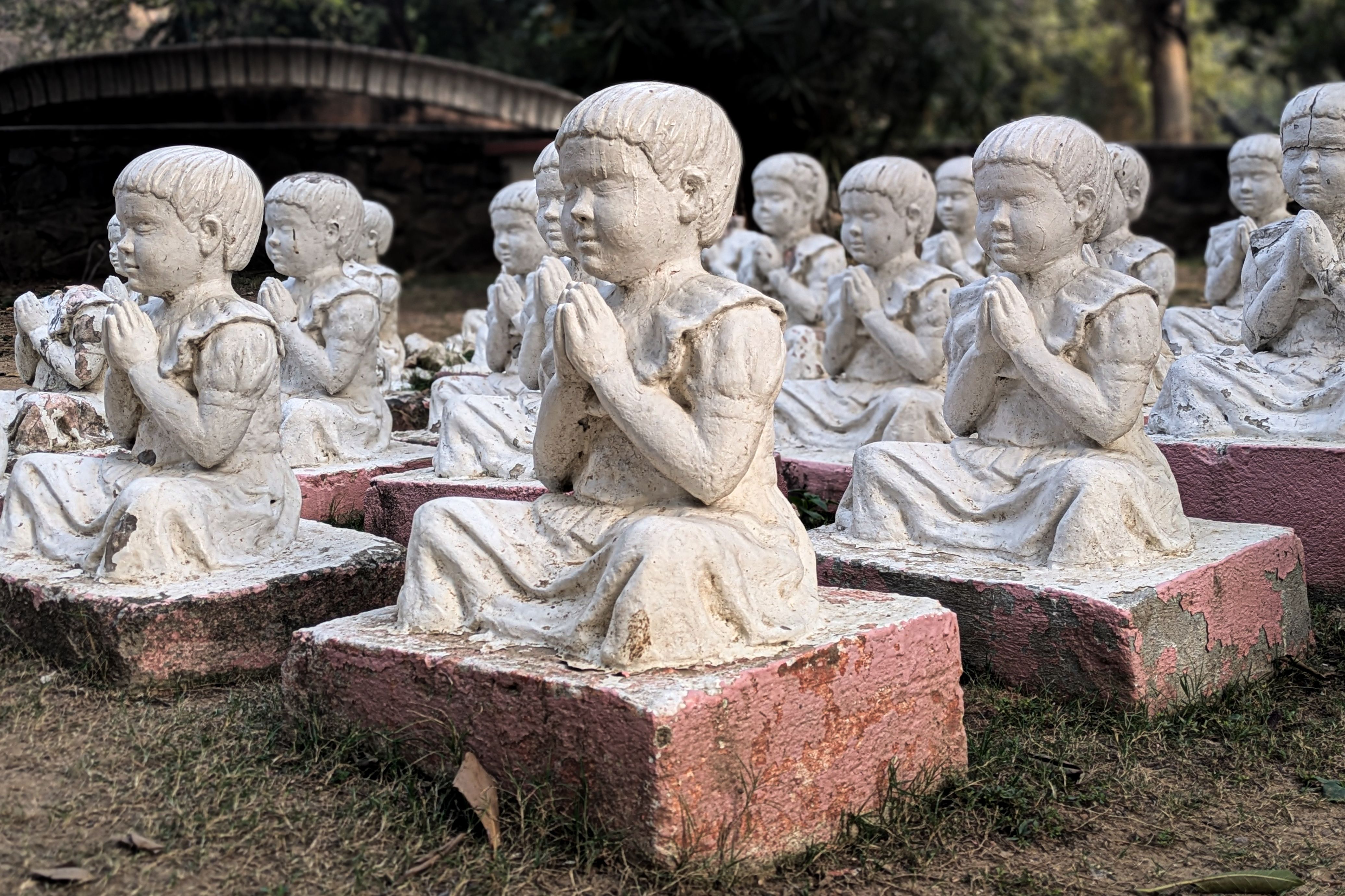 Change lines at Botanical Garden for south Delhi