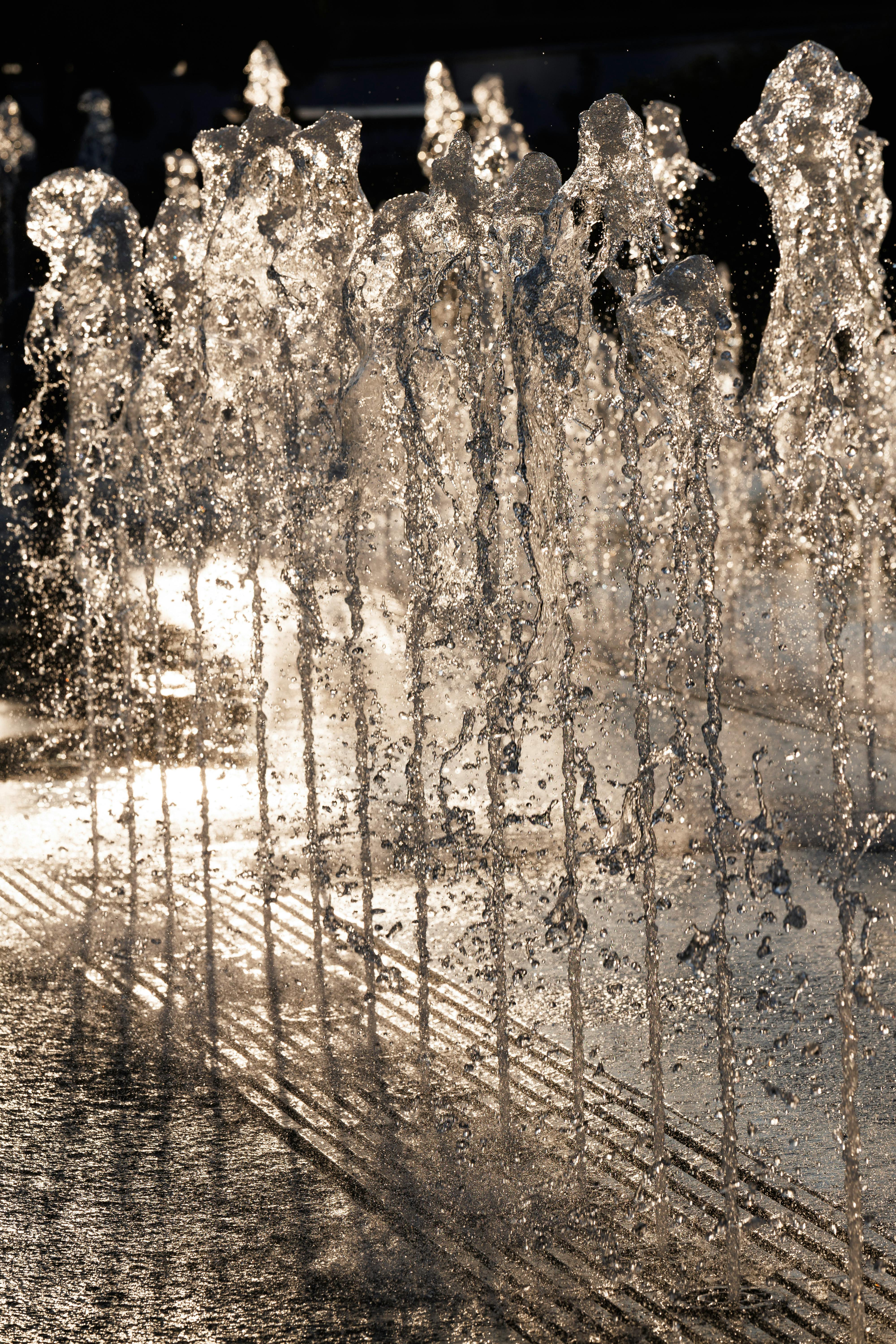 Why Do Dogs Have Wet Noses? Discover the Fascinating Reasons! 8 Understanding the Purpose of a Dog's Wet Nose: More Than Just a Cooling Mechanism!