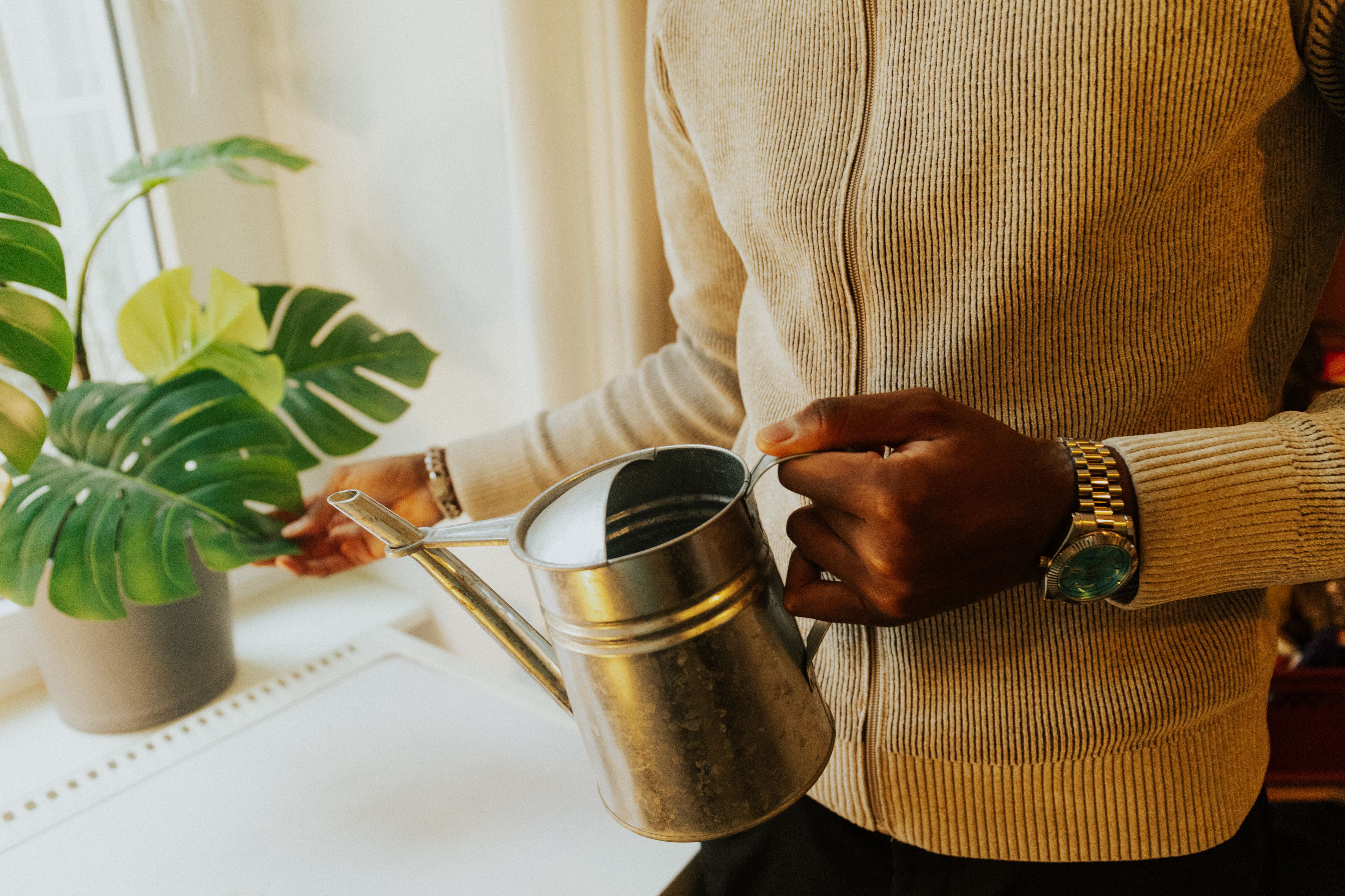 Arrosage des plantes d'intérieur : la technique d'immersion qui révolutionne votre petit jardin mais