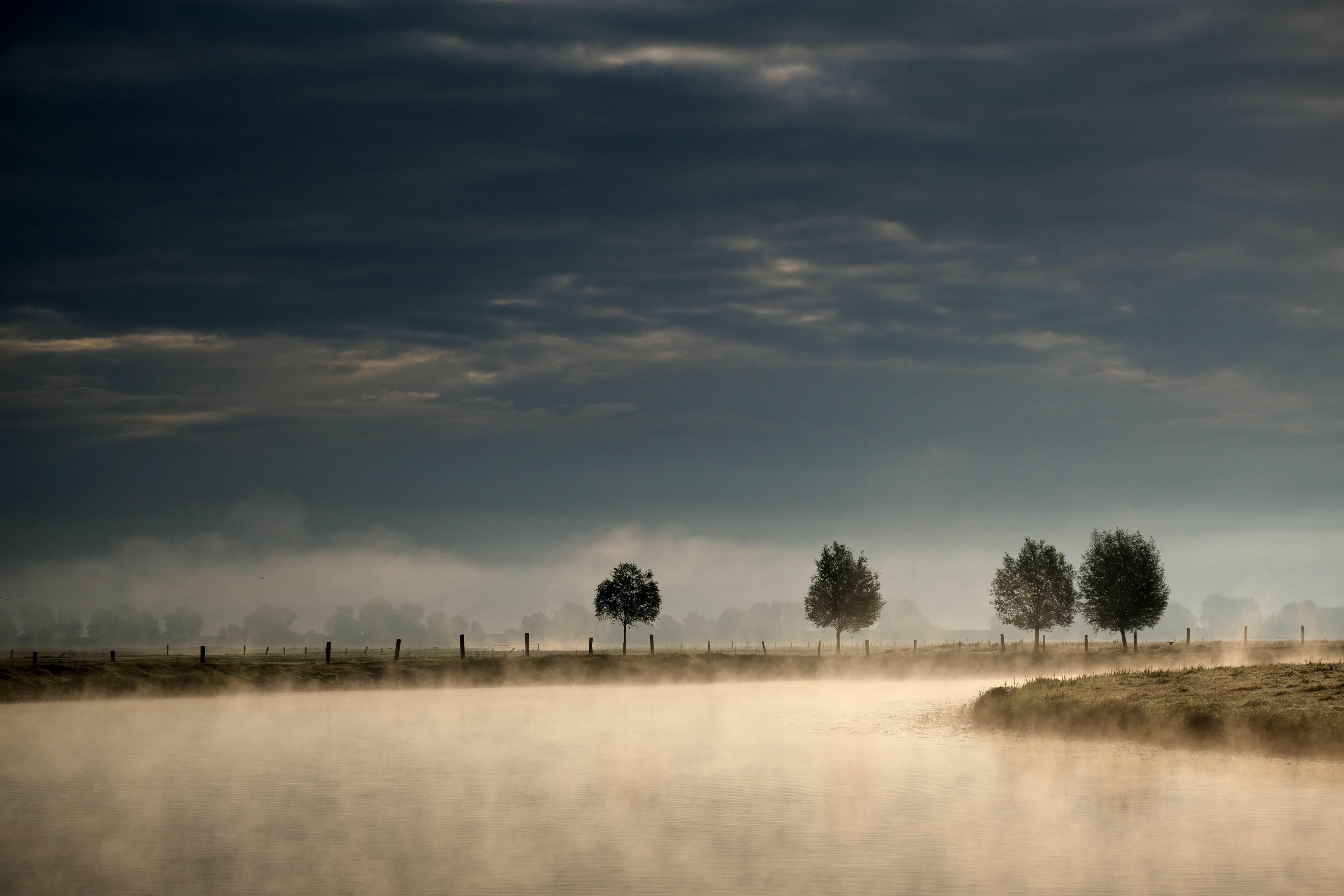 Misty Morning Landscape with Trees and River · Free Stock Photo