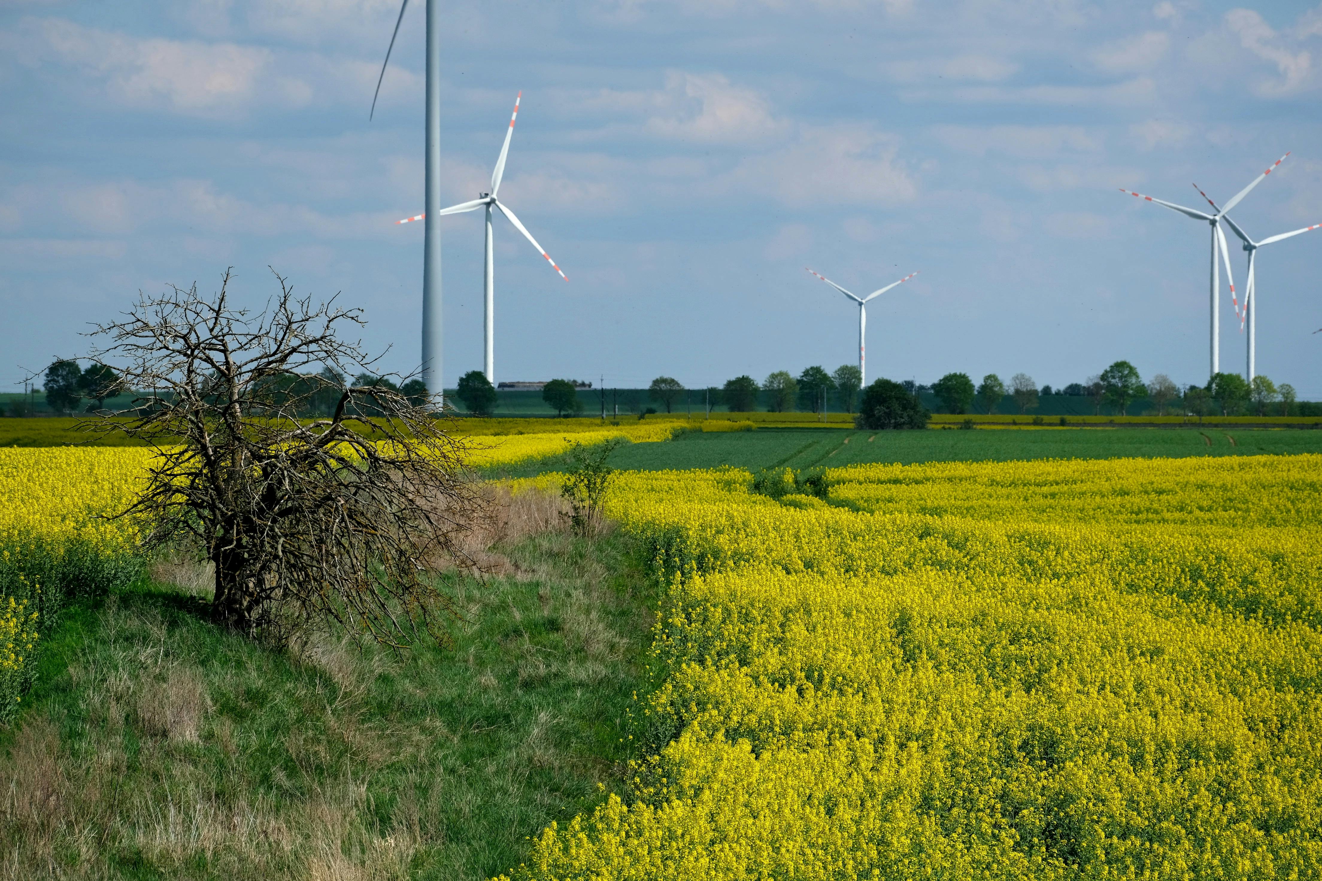 What happens afterwards? The lifecycle of renewable energy facilities — Photo by Roman Biernacki on Pexels