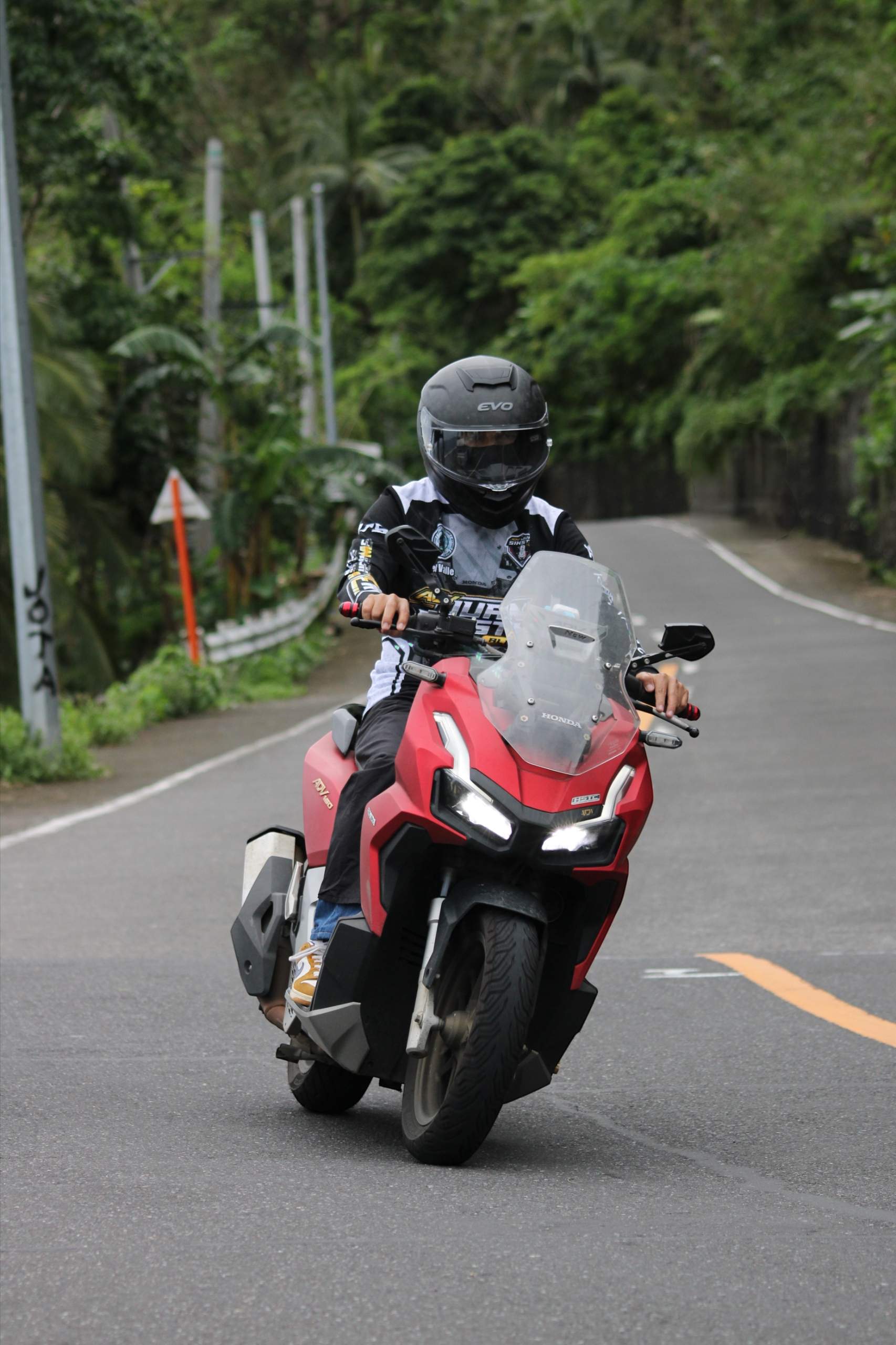A motorcyclist rides through a lush forest on a curvy road.