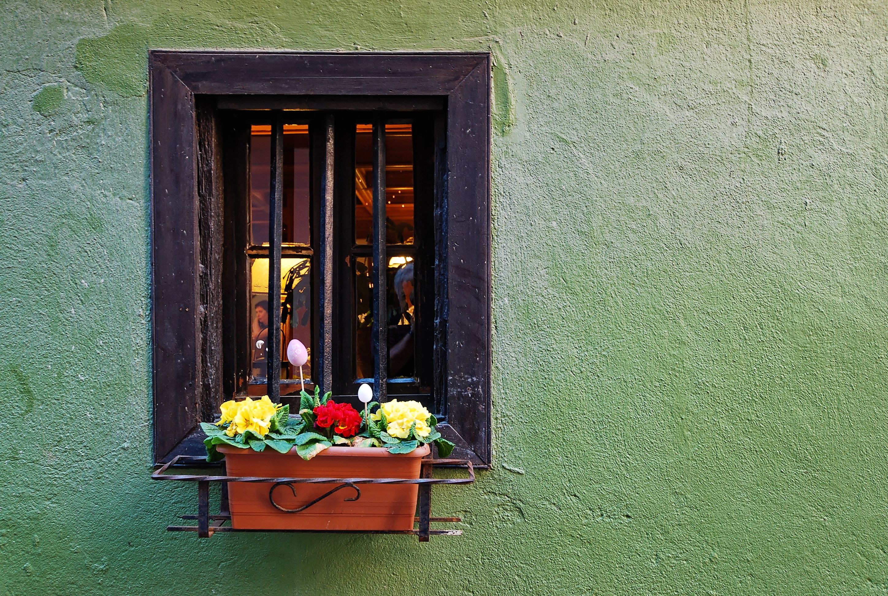 Moderne Frühlings-Fensterdeko: 5 DIY-Anleitungen für einen neuen Look — Schritt-für-Schritt-Anleitung