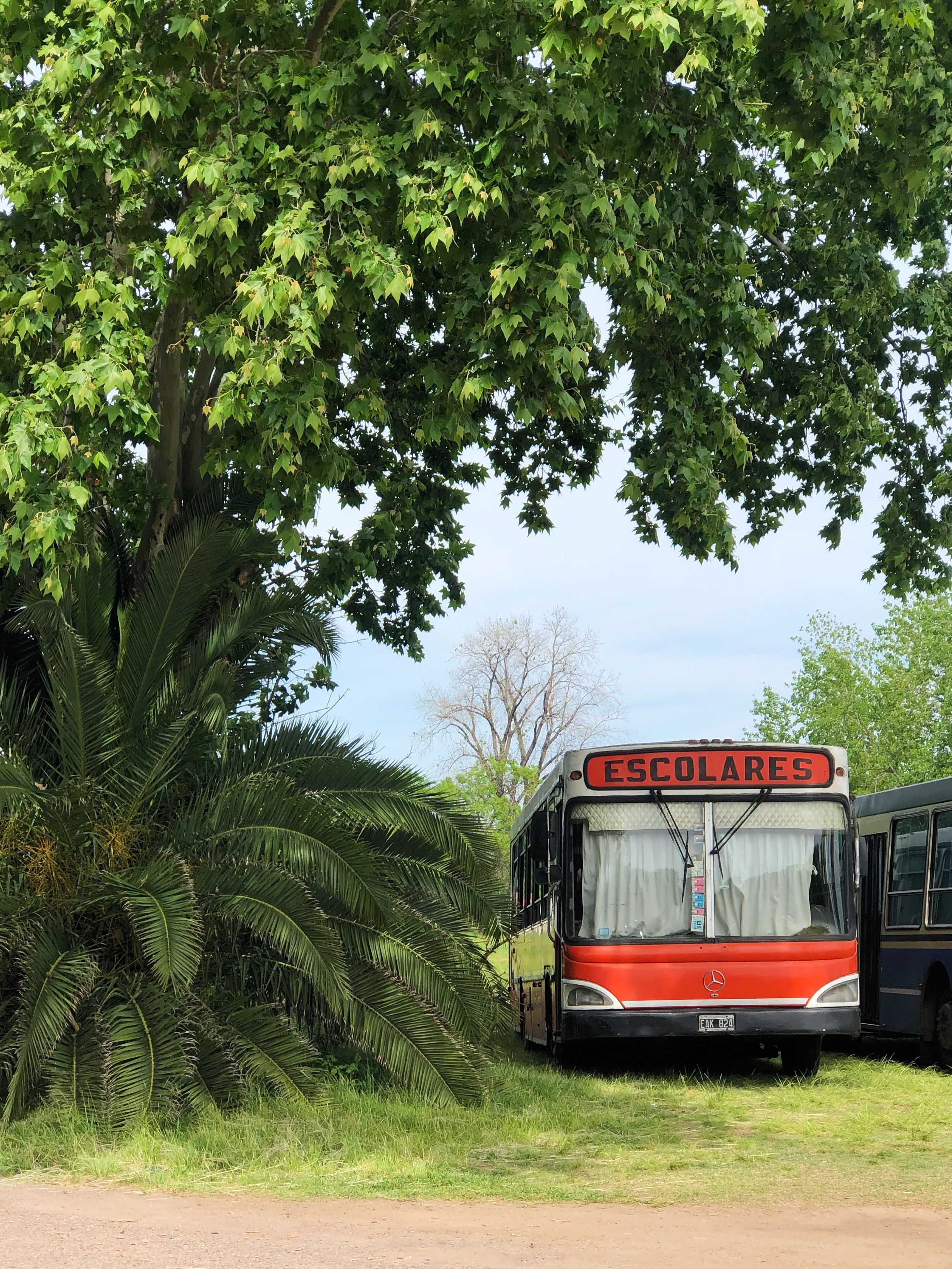 I distretti scolastici affrontano un problema di matematica al ritorno a scuola: l'elevato prezzo del diesel