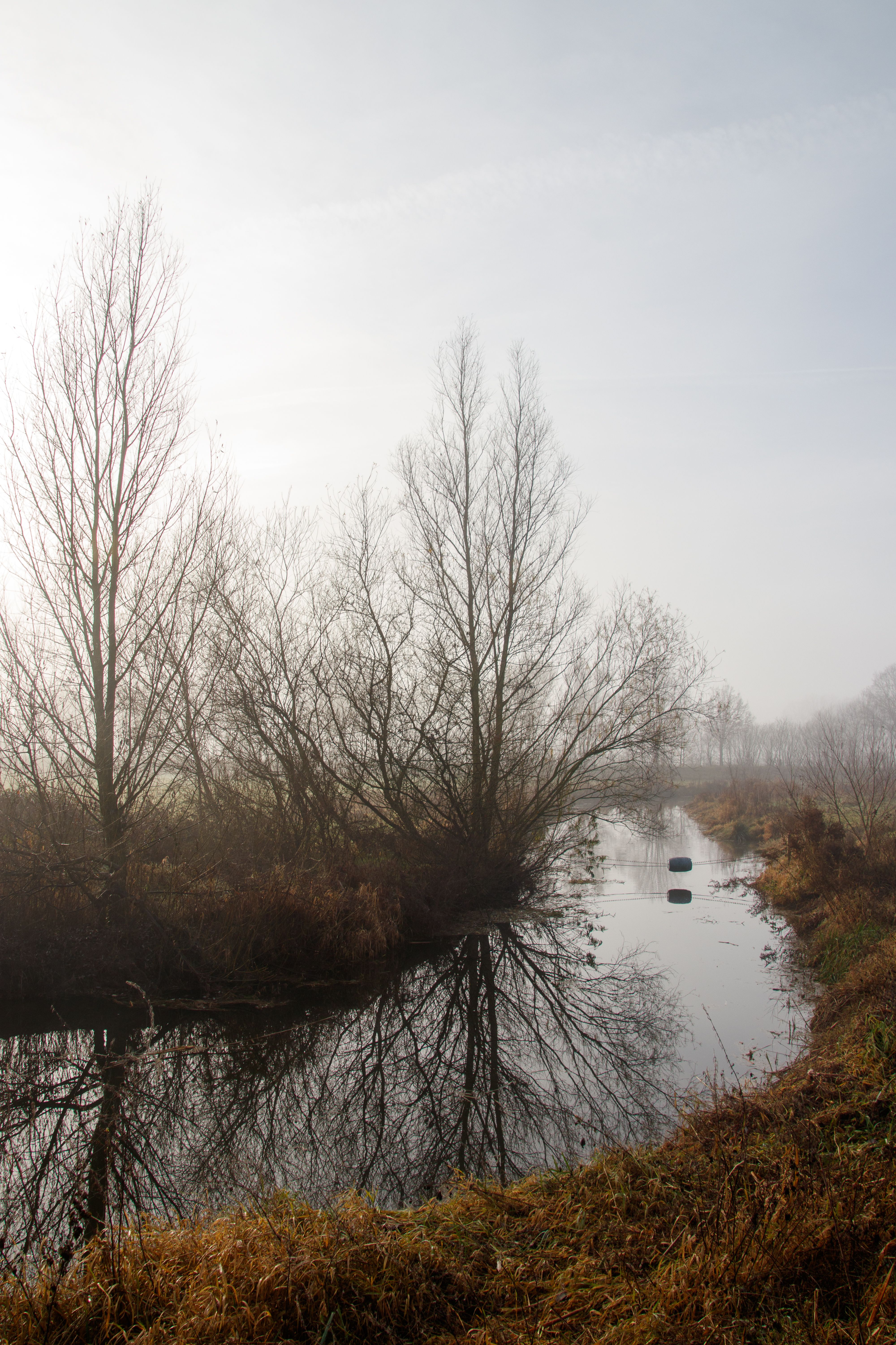 Serene Winter Landscape with Reflective Pond · Free Stock Photo