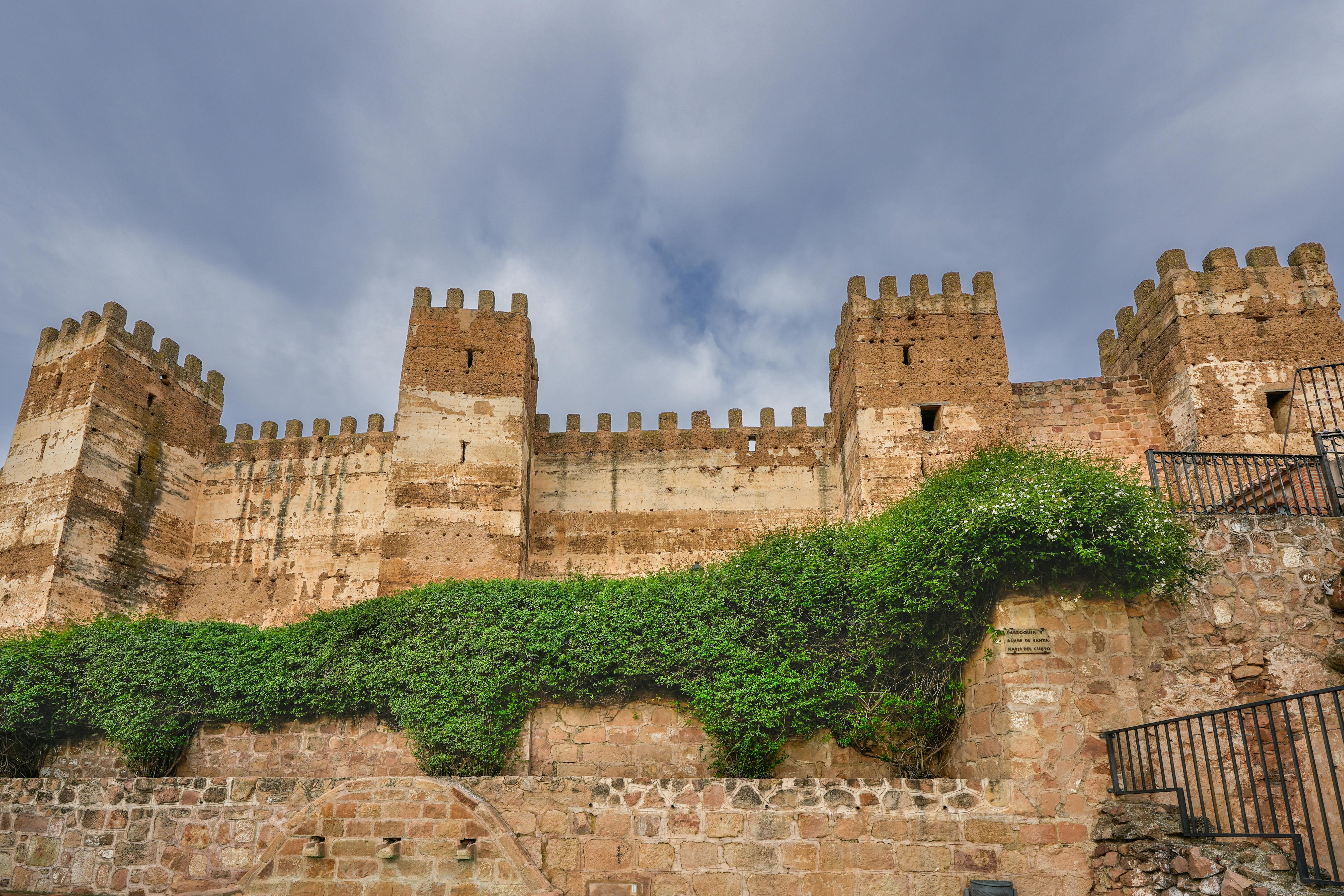 Okamura's Defense of Zůna