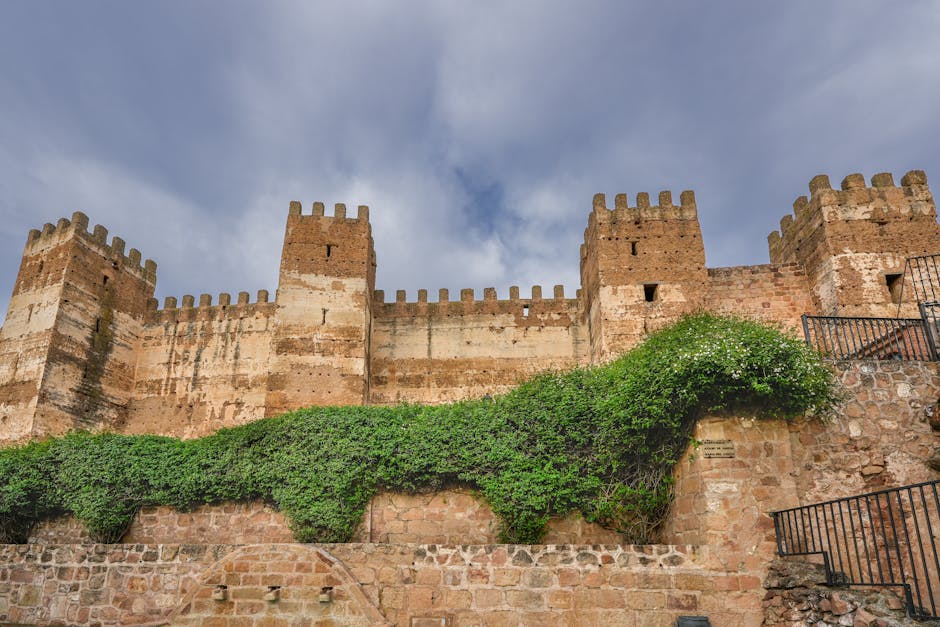 Okamura's Defense of Zůna