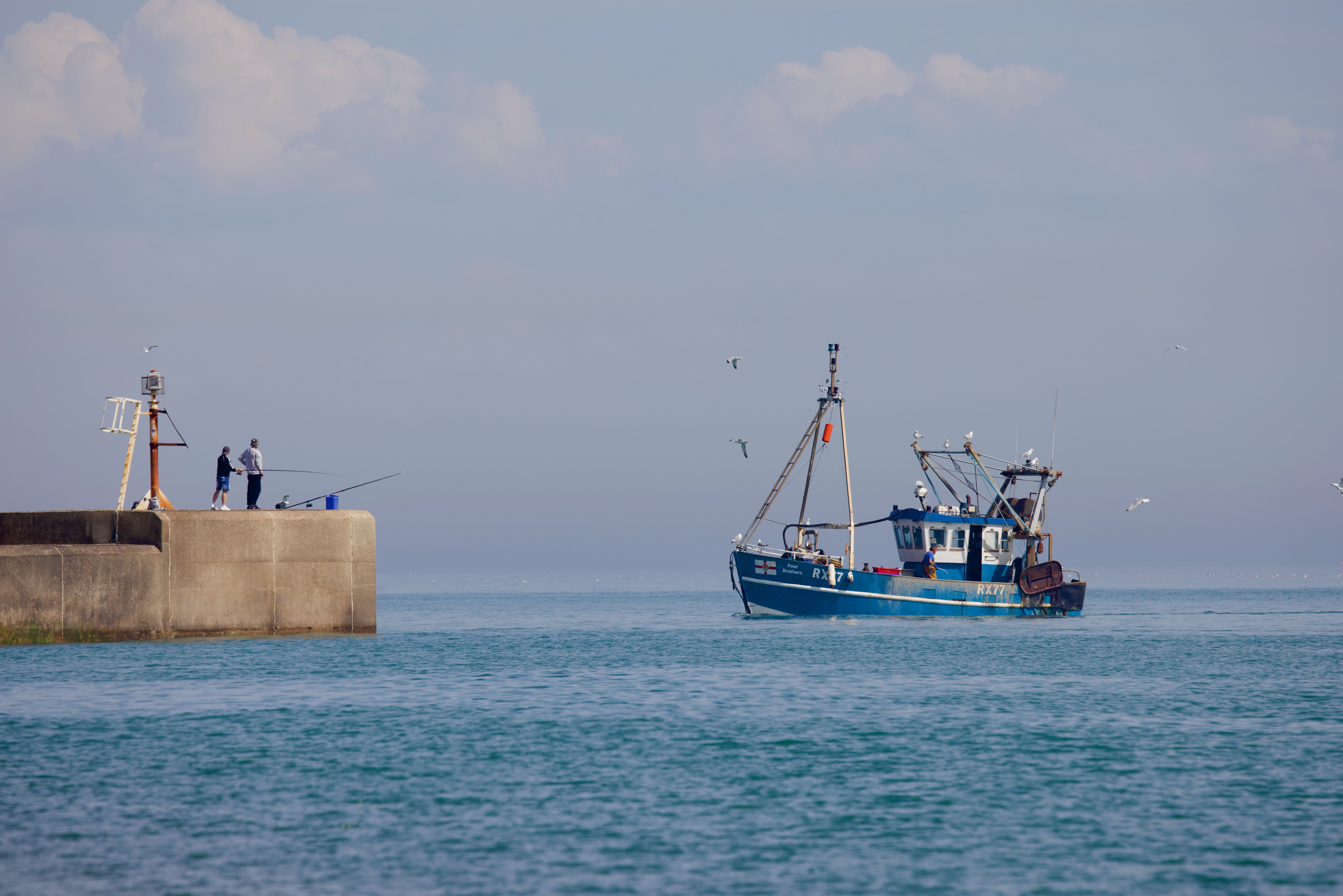 Gratuit Un bateau de pêche s'approche d'une jetée, deux pêcheurs lancent leurs lignes sous un ciel dégagé, entourés de mouettes. Photos