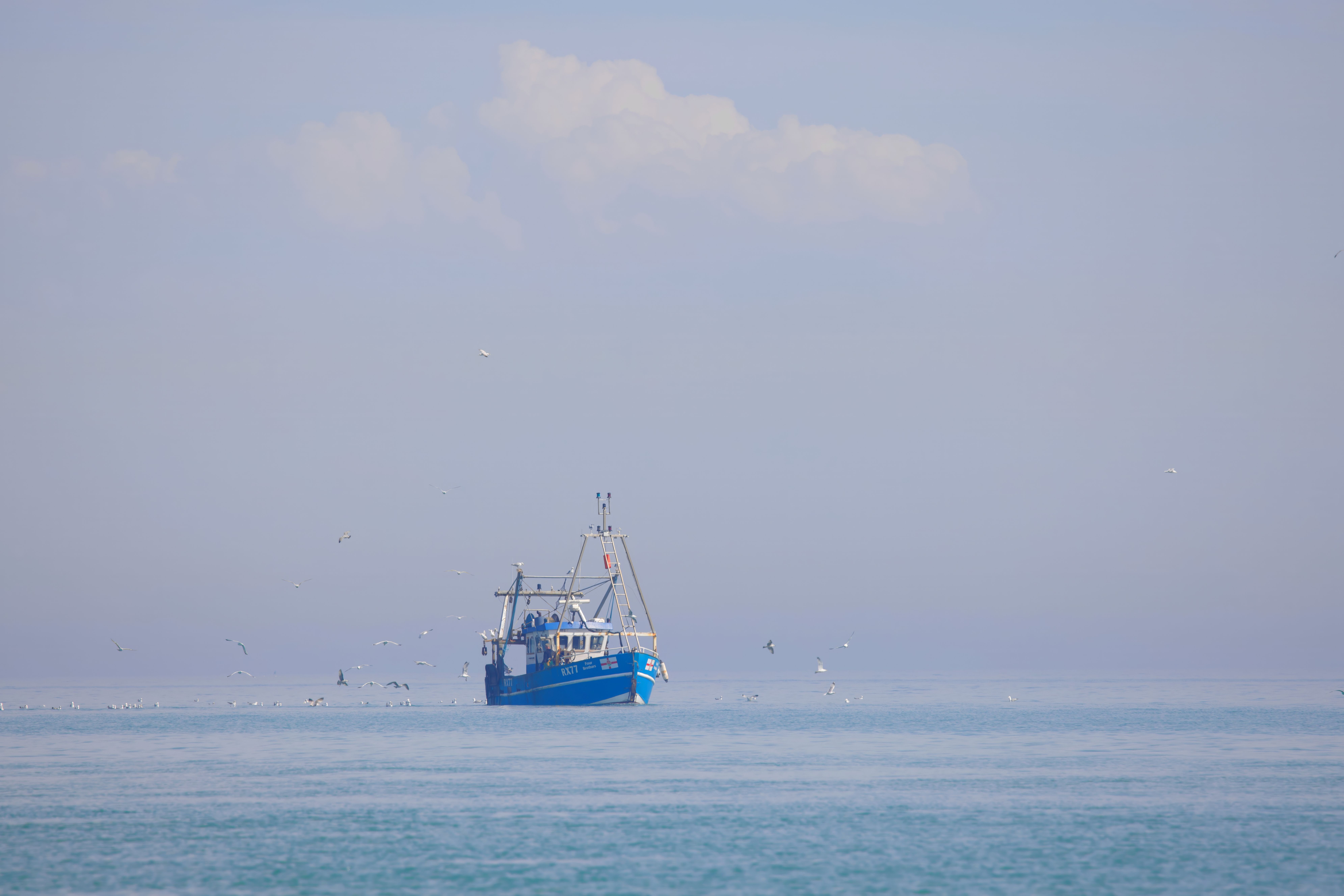 Gratuit Un paysage marin serein où l'on aperçoit un bateau de pêche solitaire, entouré de mouettes, sous un ciel d'un bleu limpide. Photos
